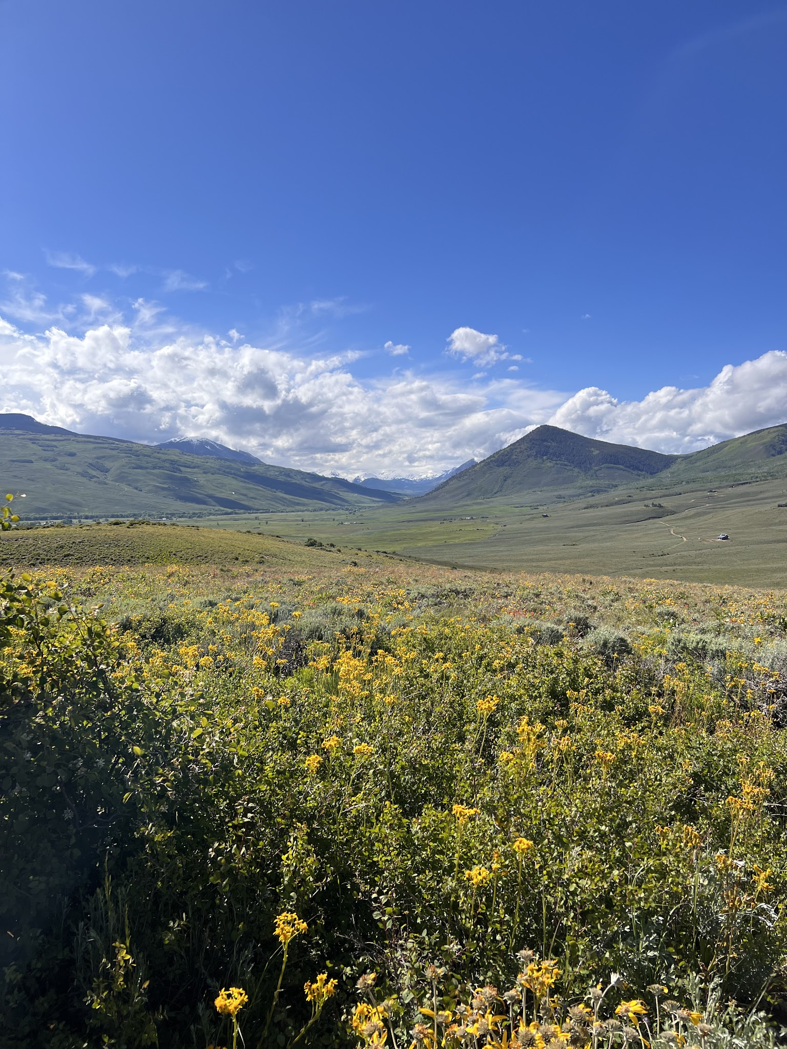 Campgrounds - Taylor Park Area