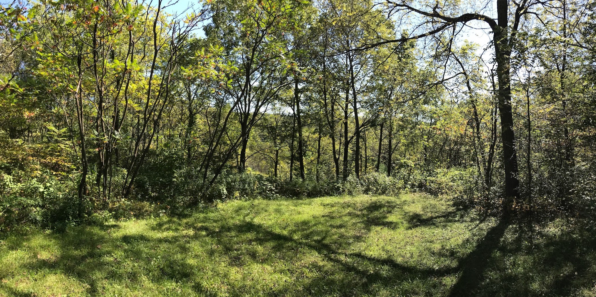 Camper Cabins Campground