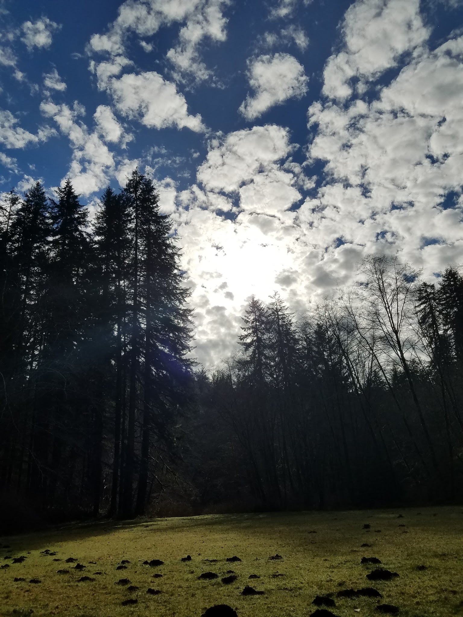 Canal Creek Group Campground