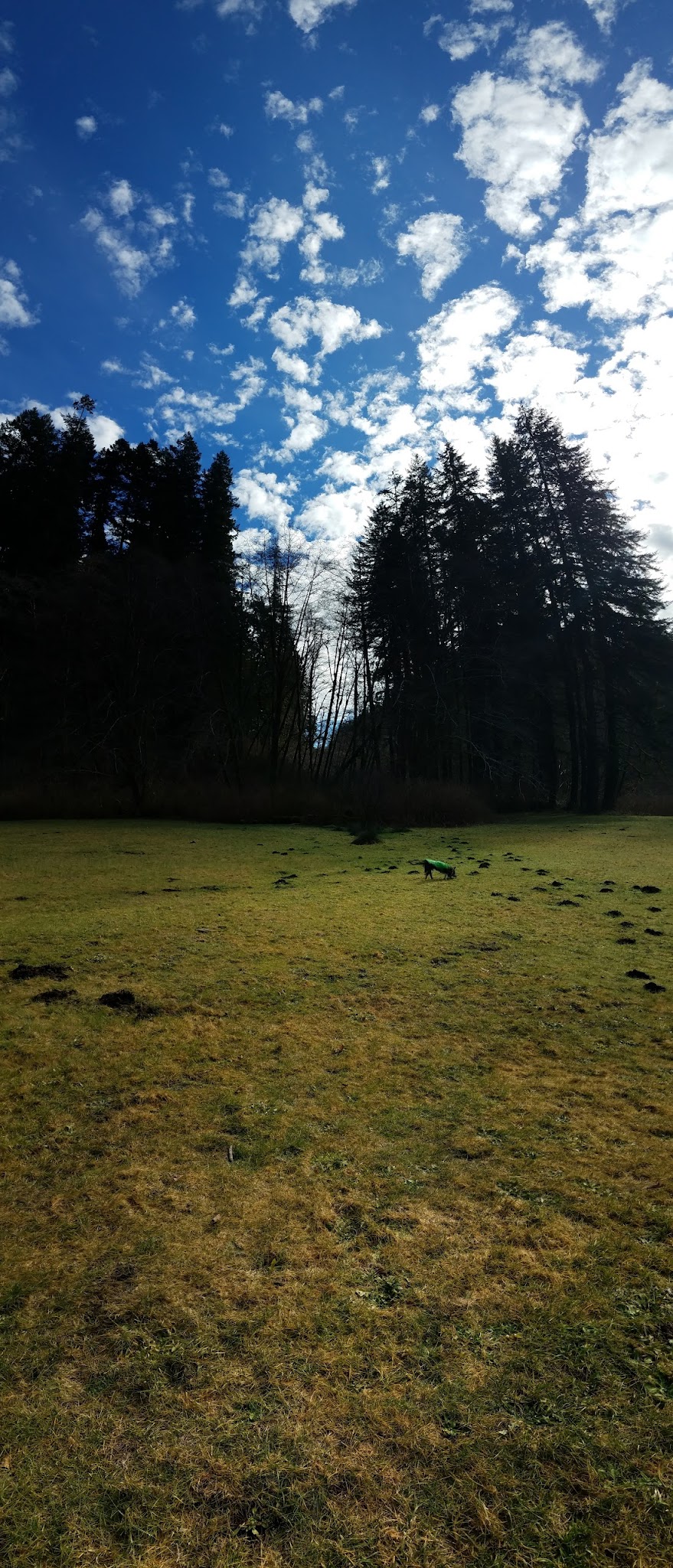 Canal Creek Group Campground