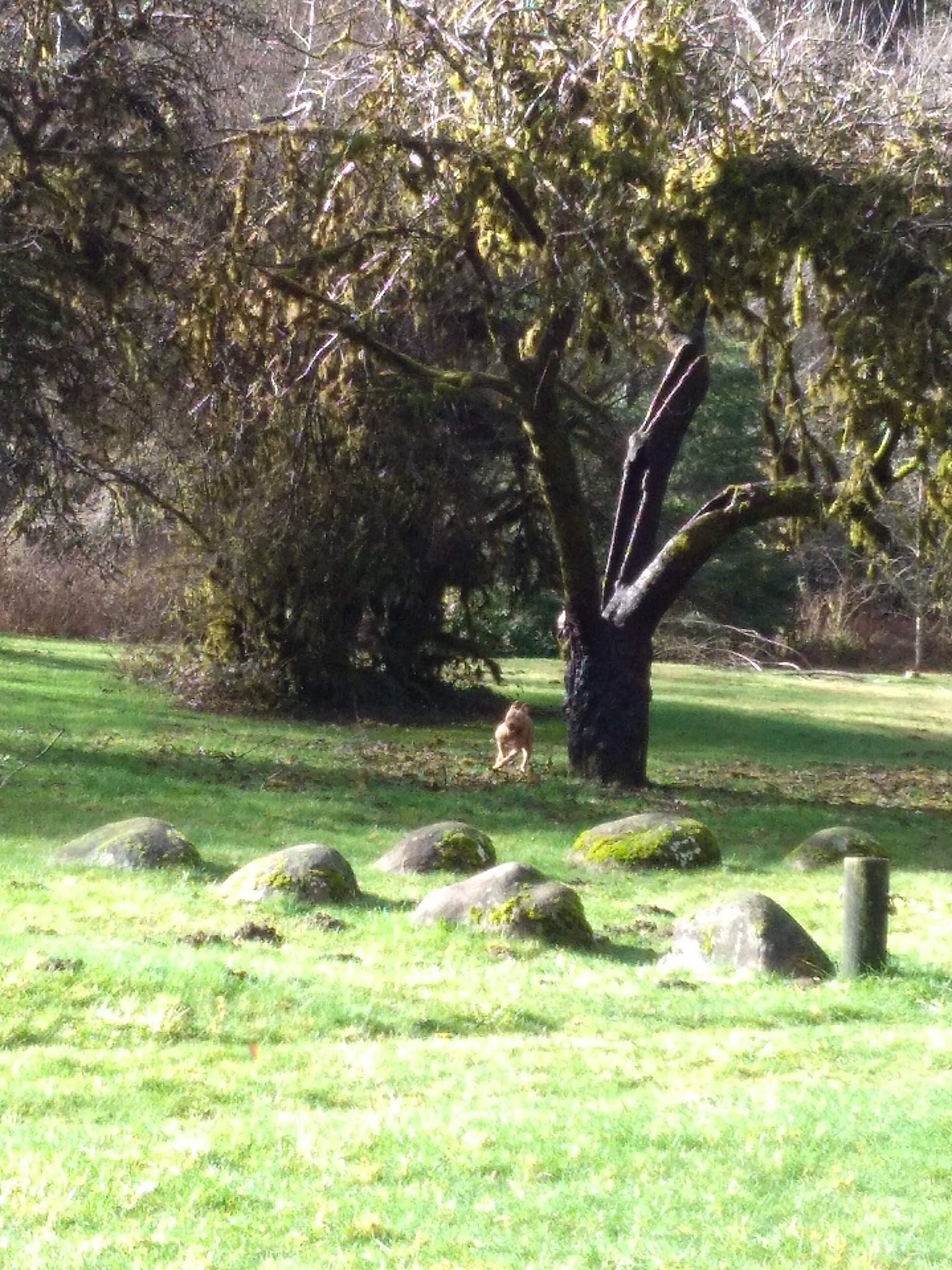 Canal Creek Group Campground