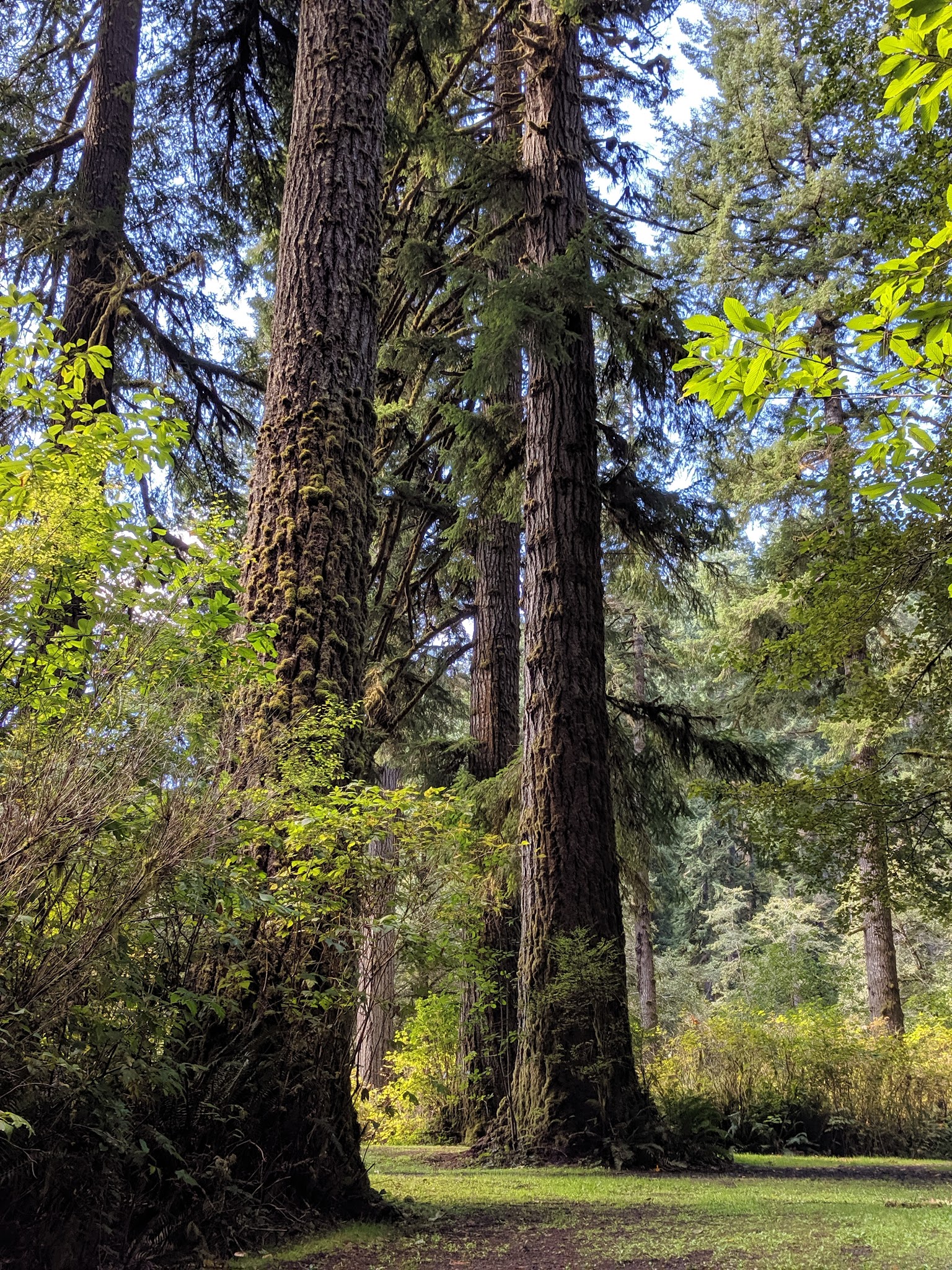 Canal Creek Group Campground