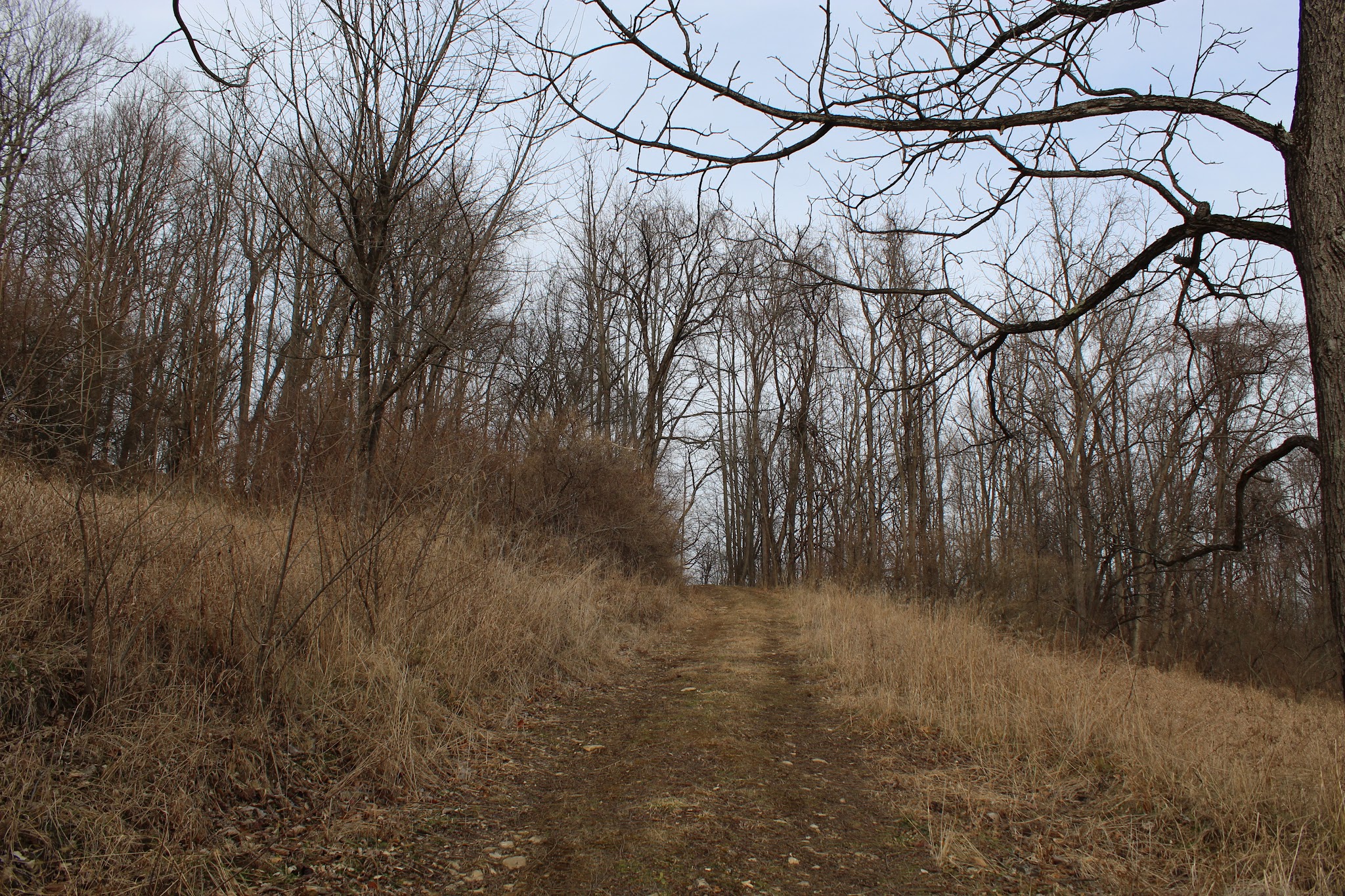 Canoe Creek State Park