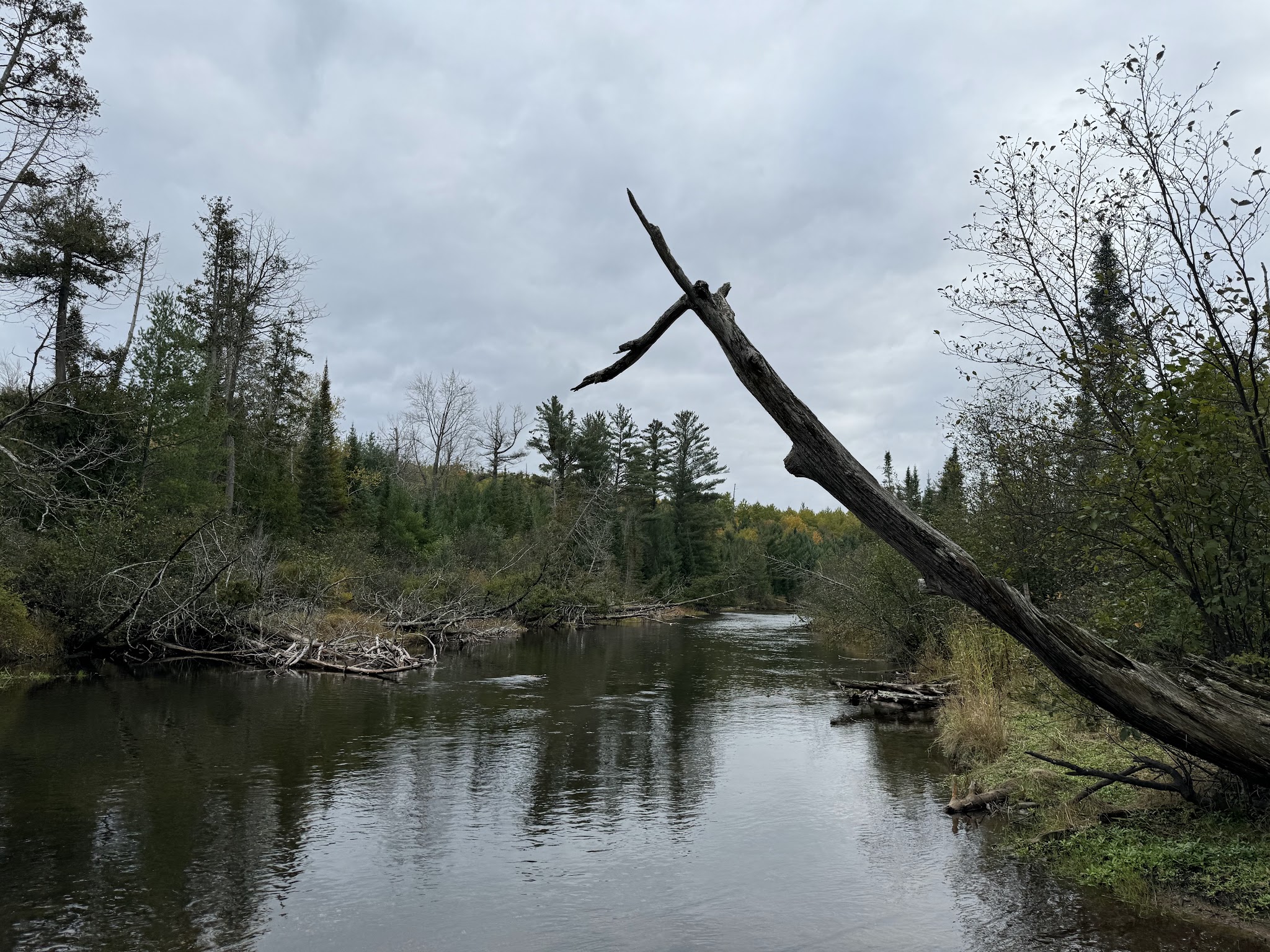 Canoe Harbor State Forest Campground And Canoe Camp