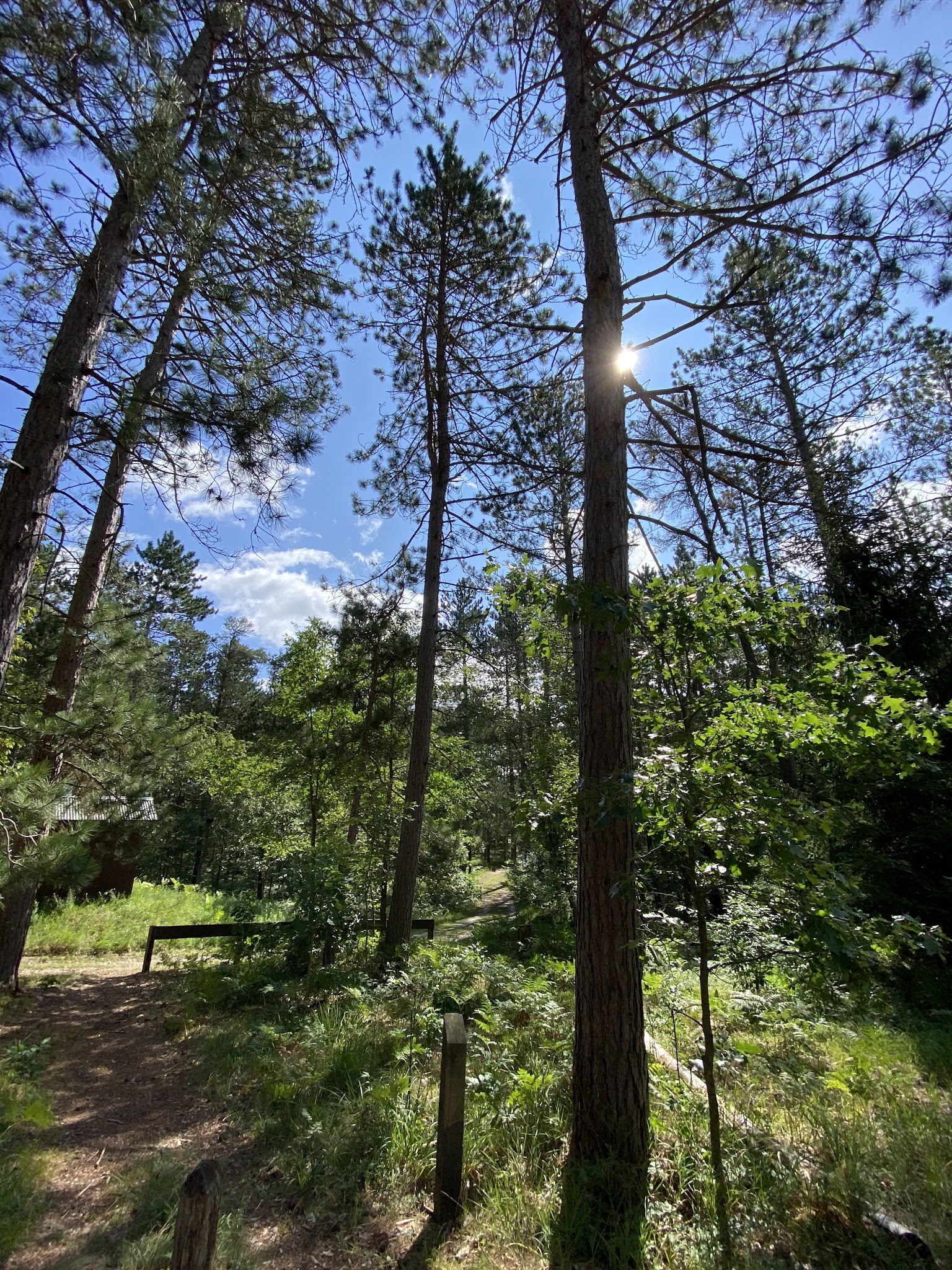 Canoe Harbor State Forest Campground And Canoe Camp
