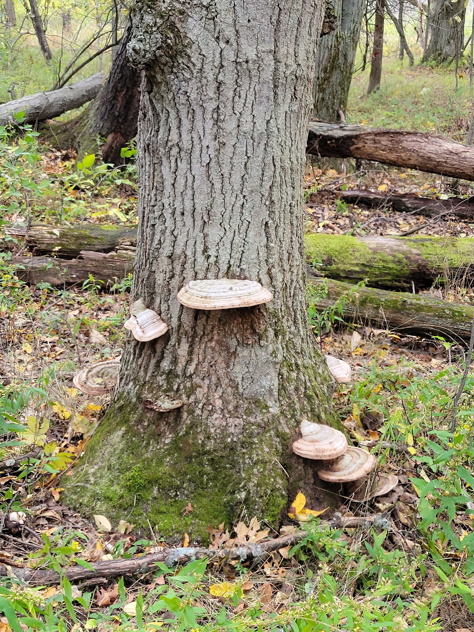 Canoe Point State Park