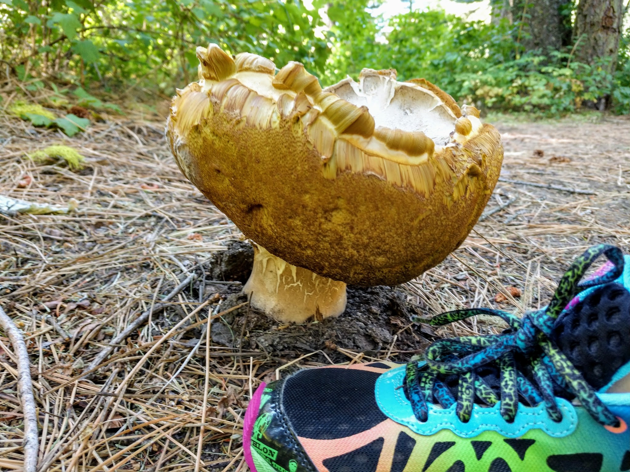 Canyon Creek Campground