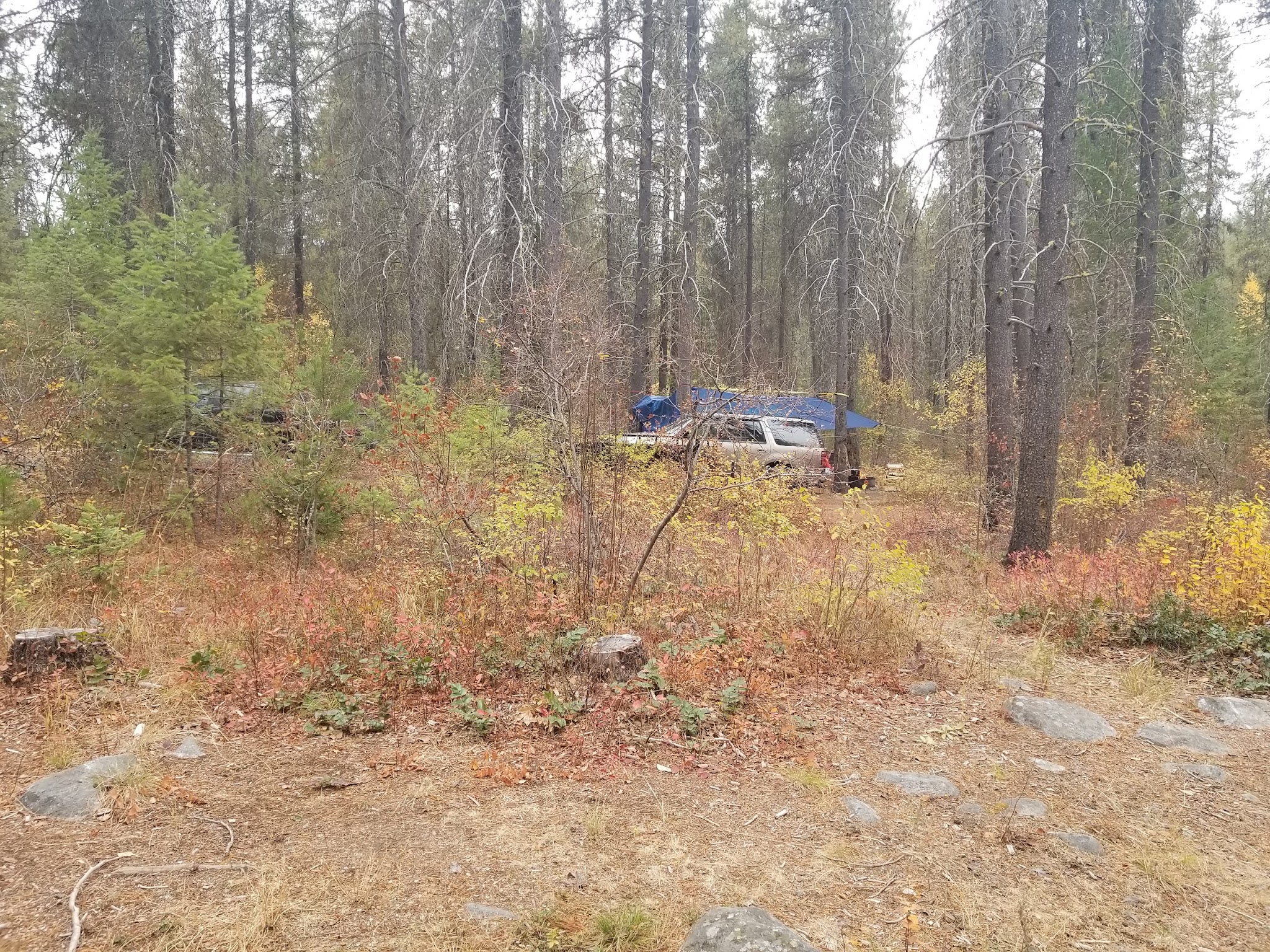 Canyon Creek Campground