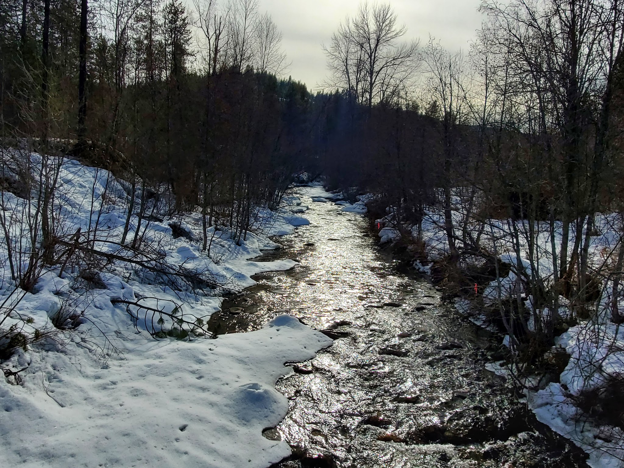 Canyon Creek Campground