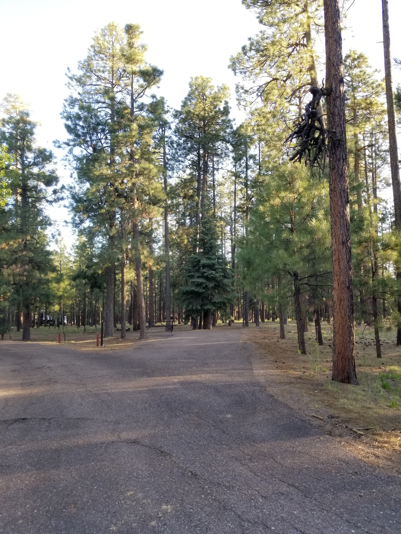 Upper Canyon Creek Campground