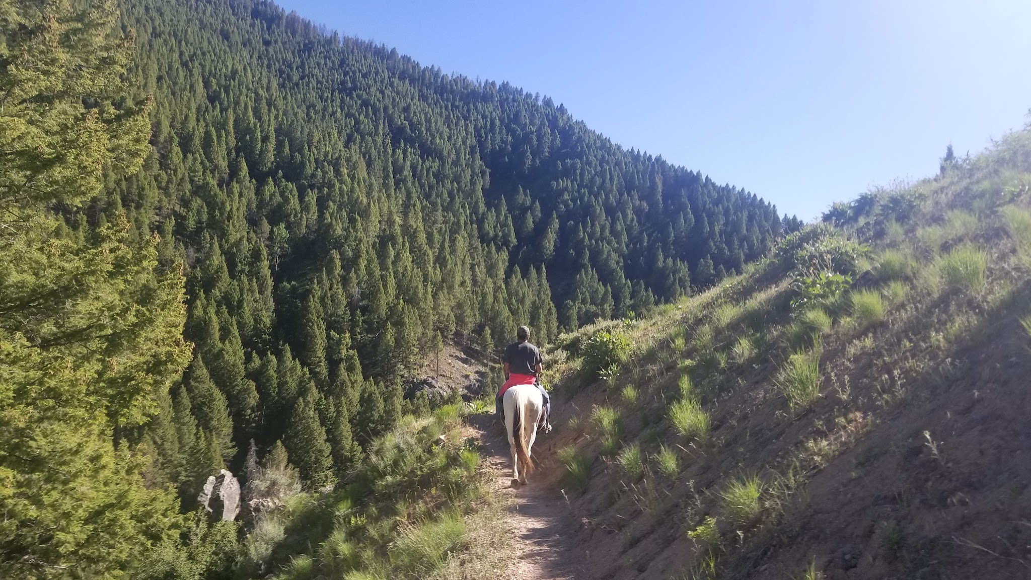 Canyon Transfer Camp