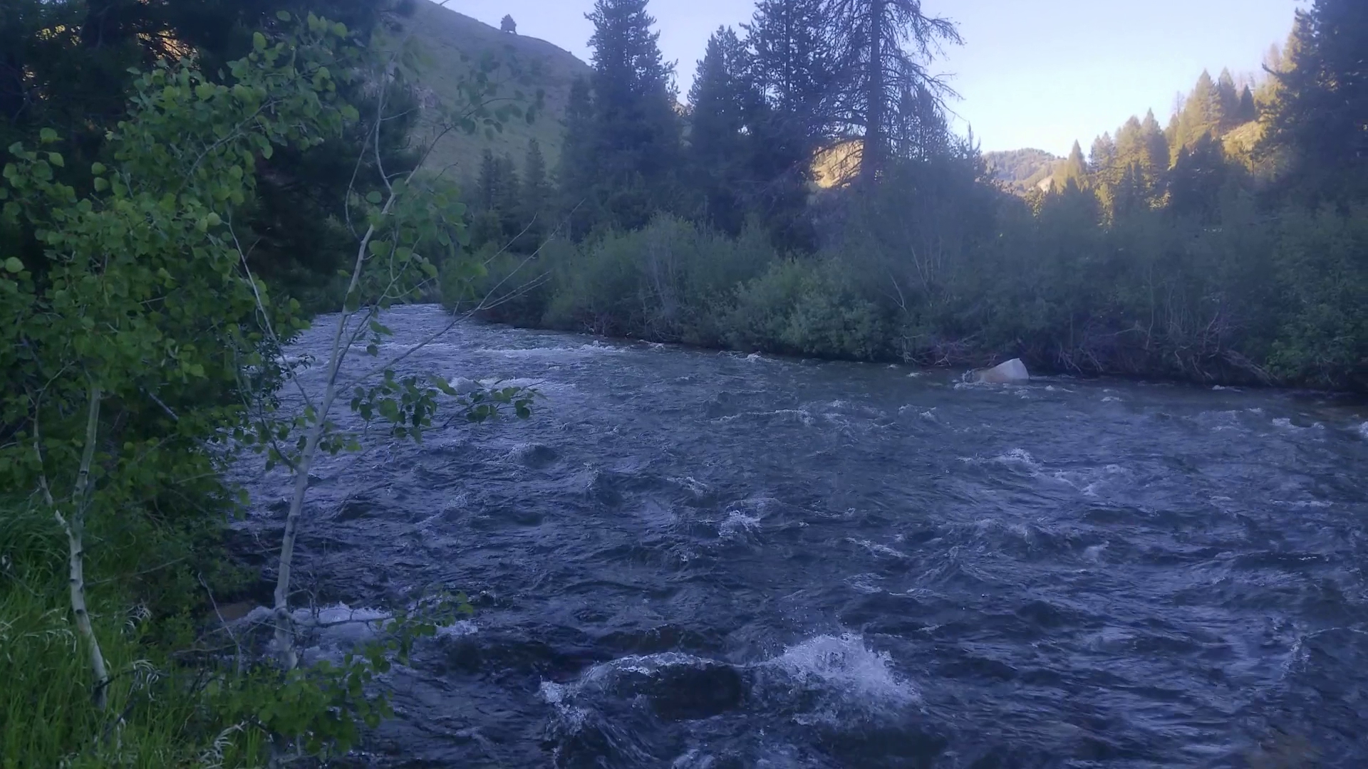 Canyon Transfer Camp