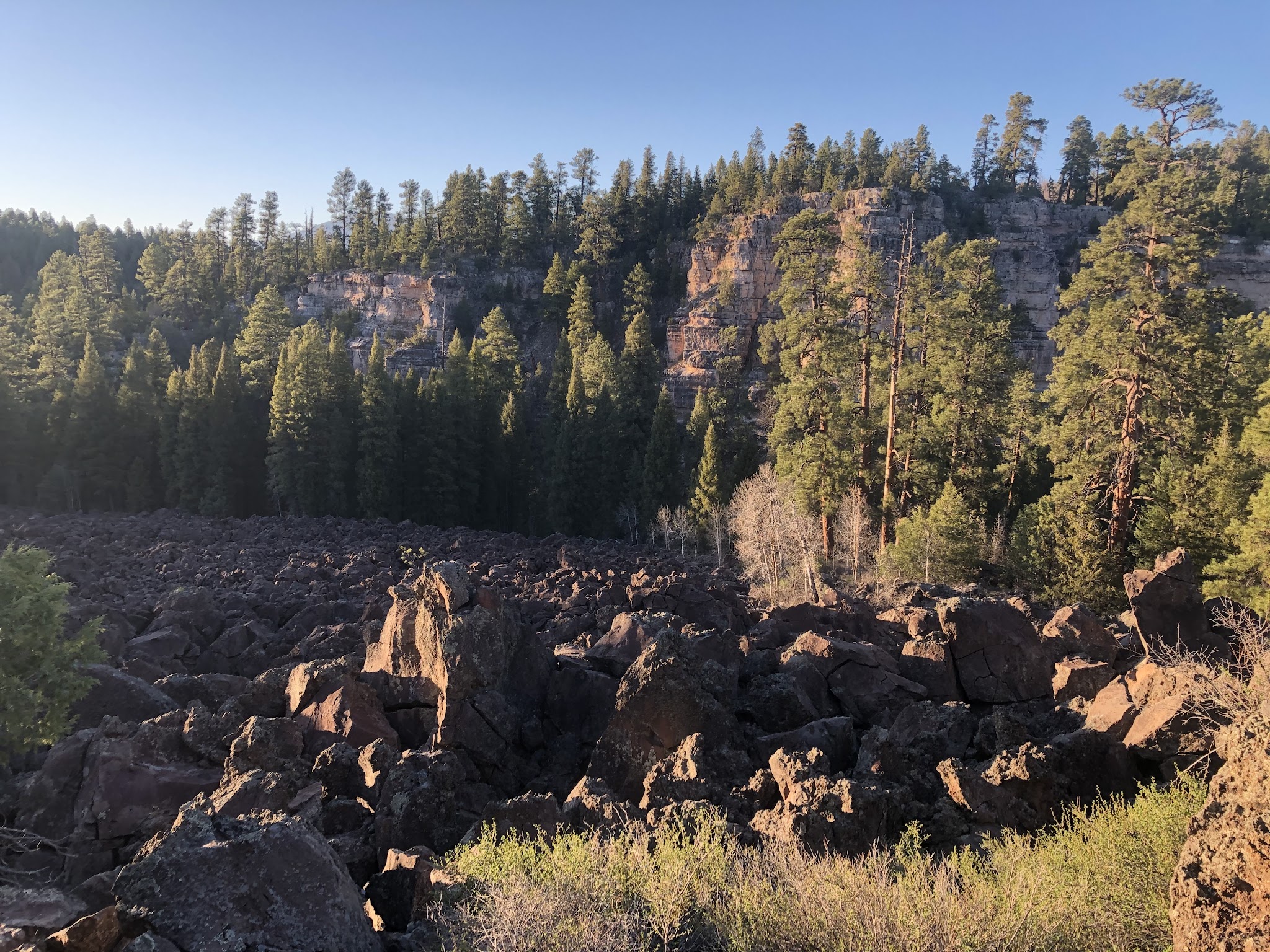 Canyon Vista Campground