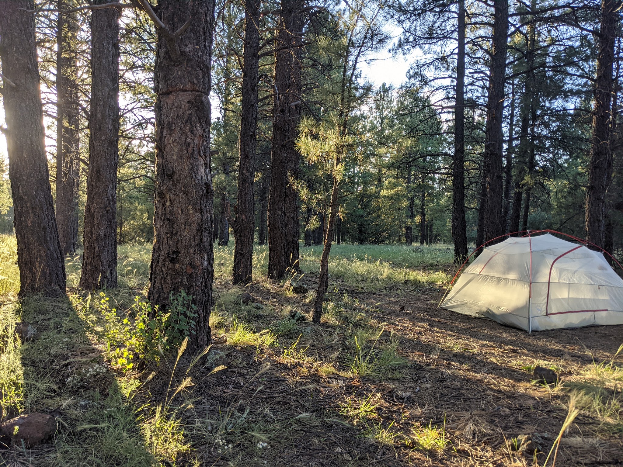 Canyon Vista Campground