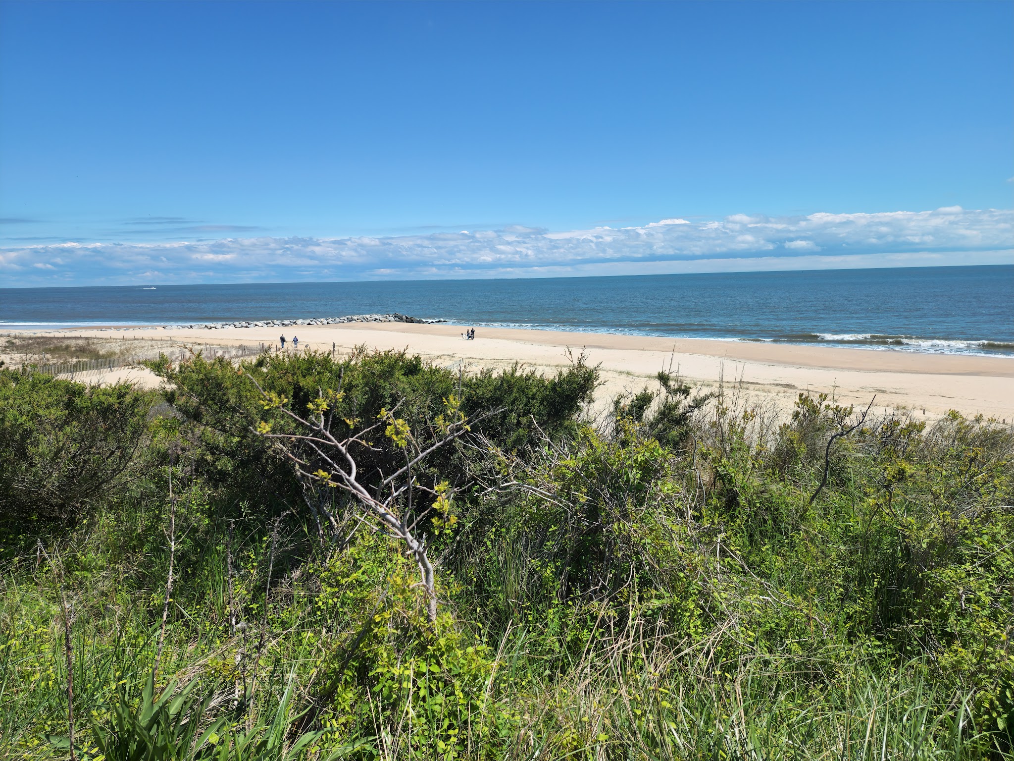 Cape Henlopen State Park