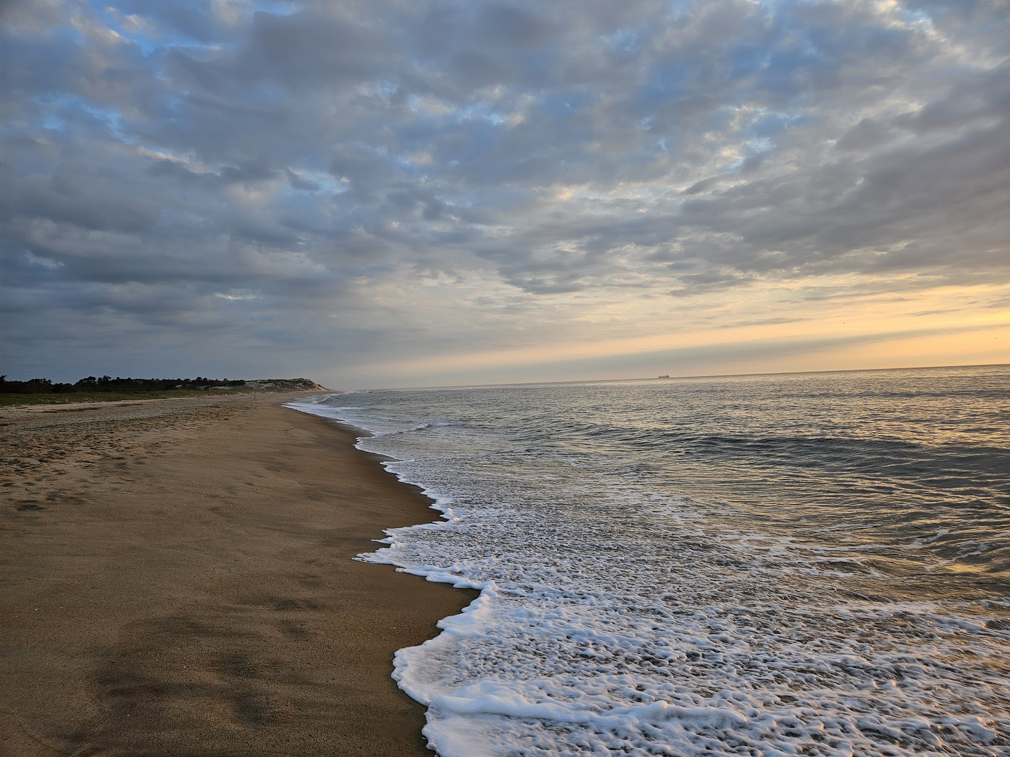 Cape Henlopen State Park