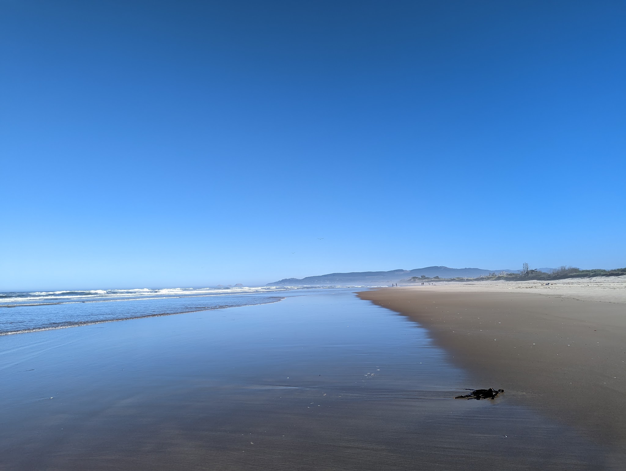 Cape Lookout State Park