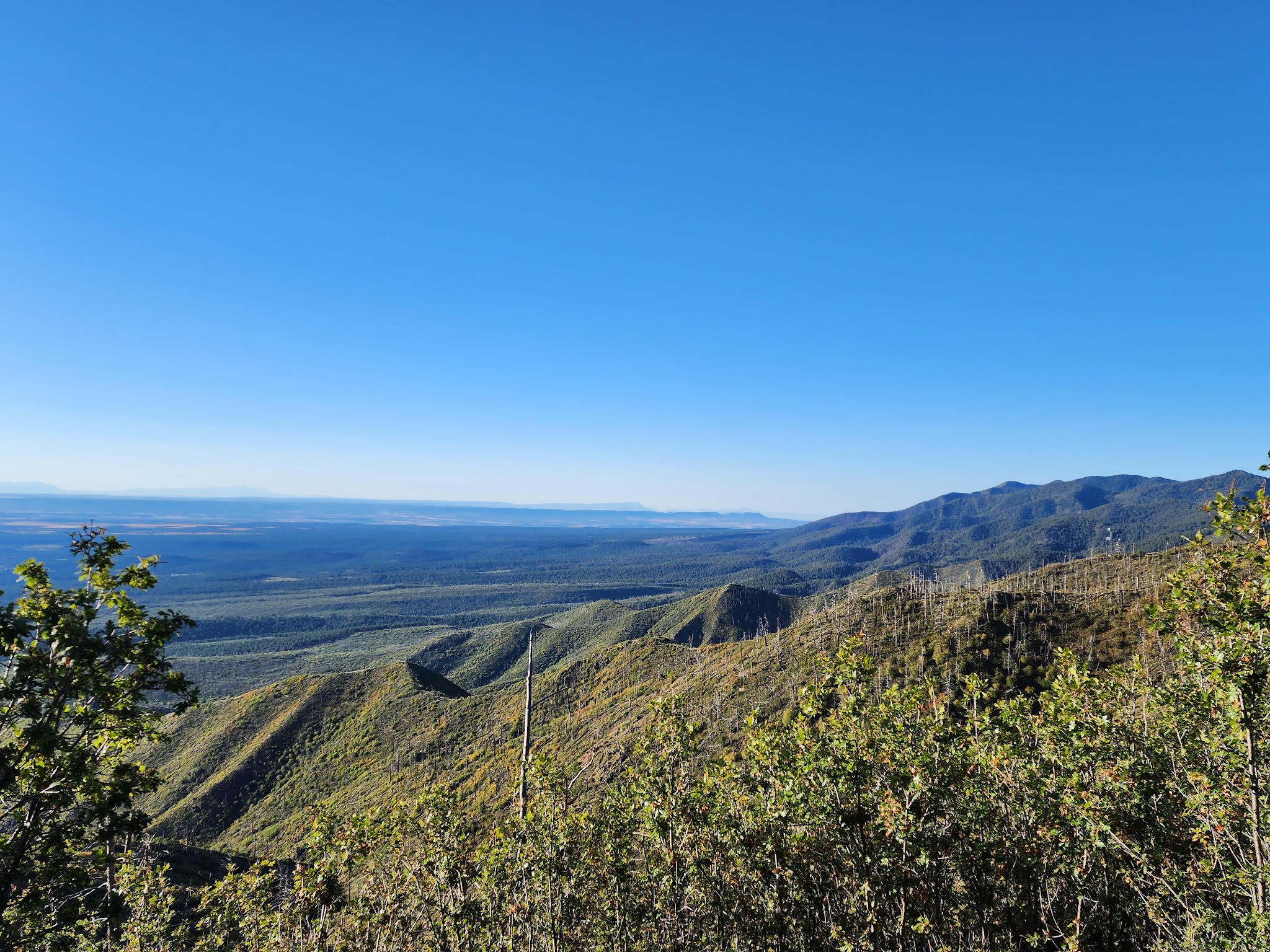 Capilla Peak Campground