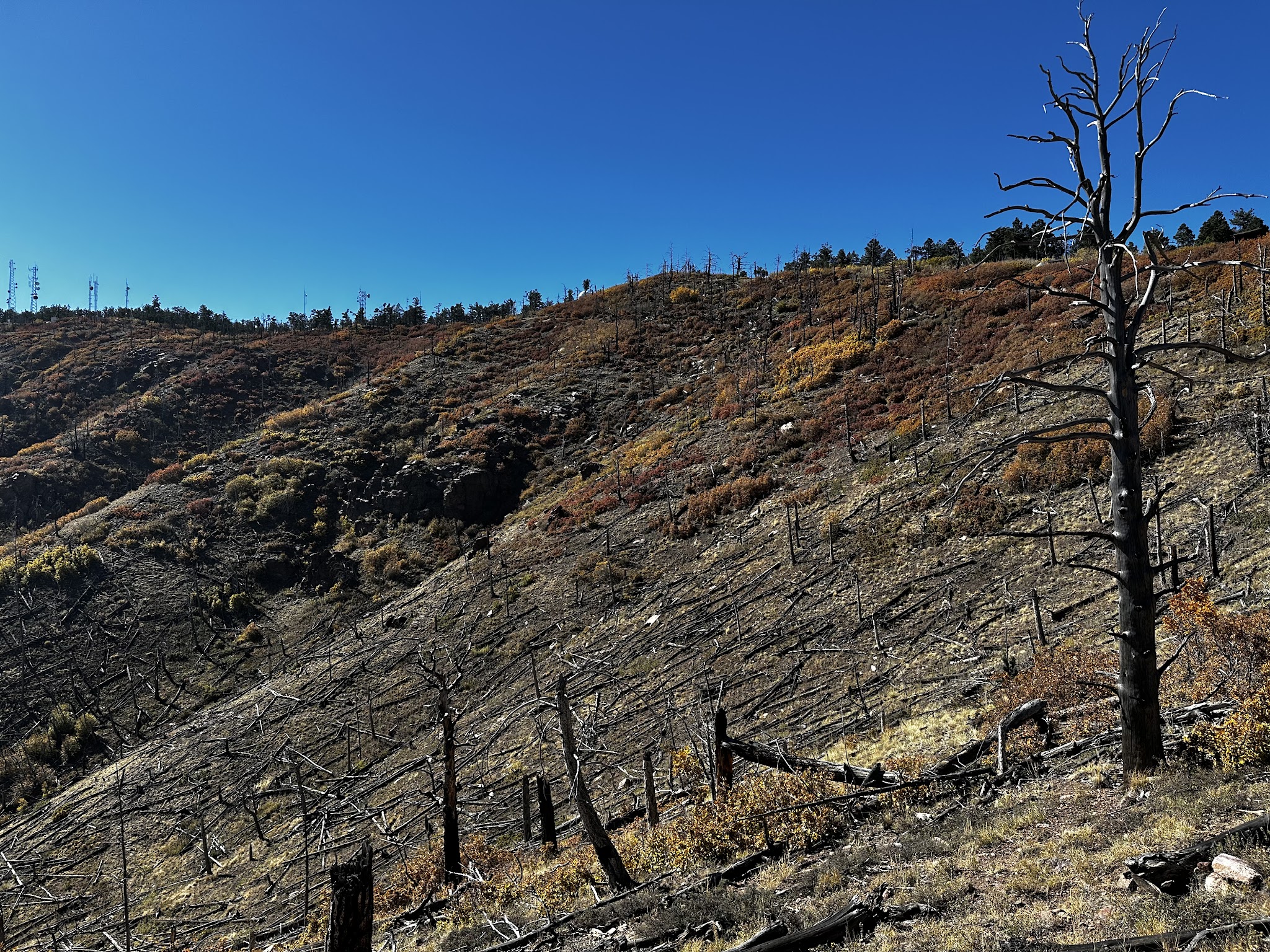 Capilla Peak Campground