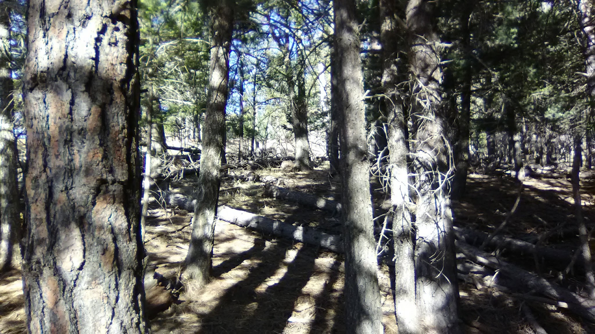 Capilla Peak Campground