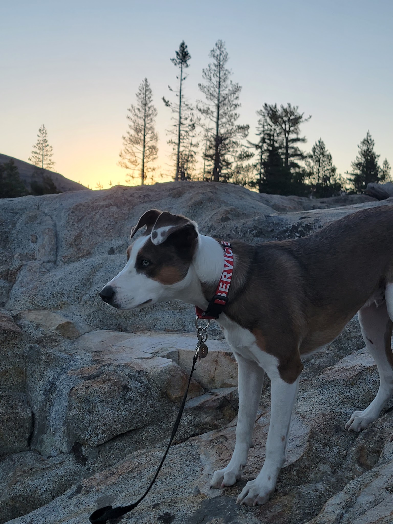 Caples Lake Campground