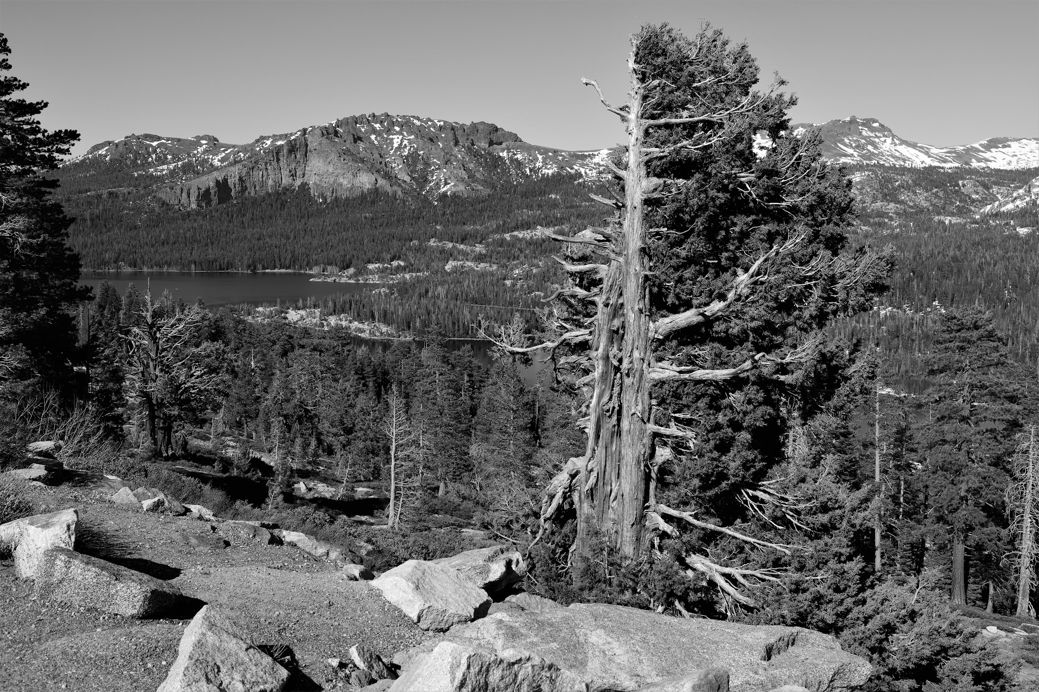Caples Lake Campground
