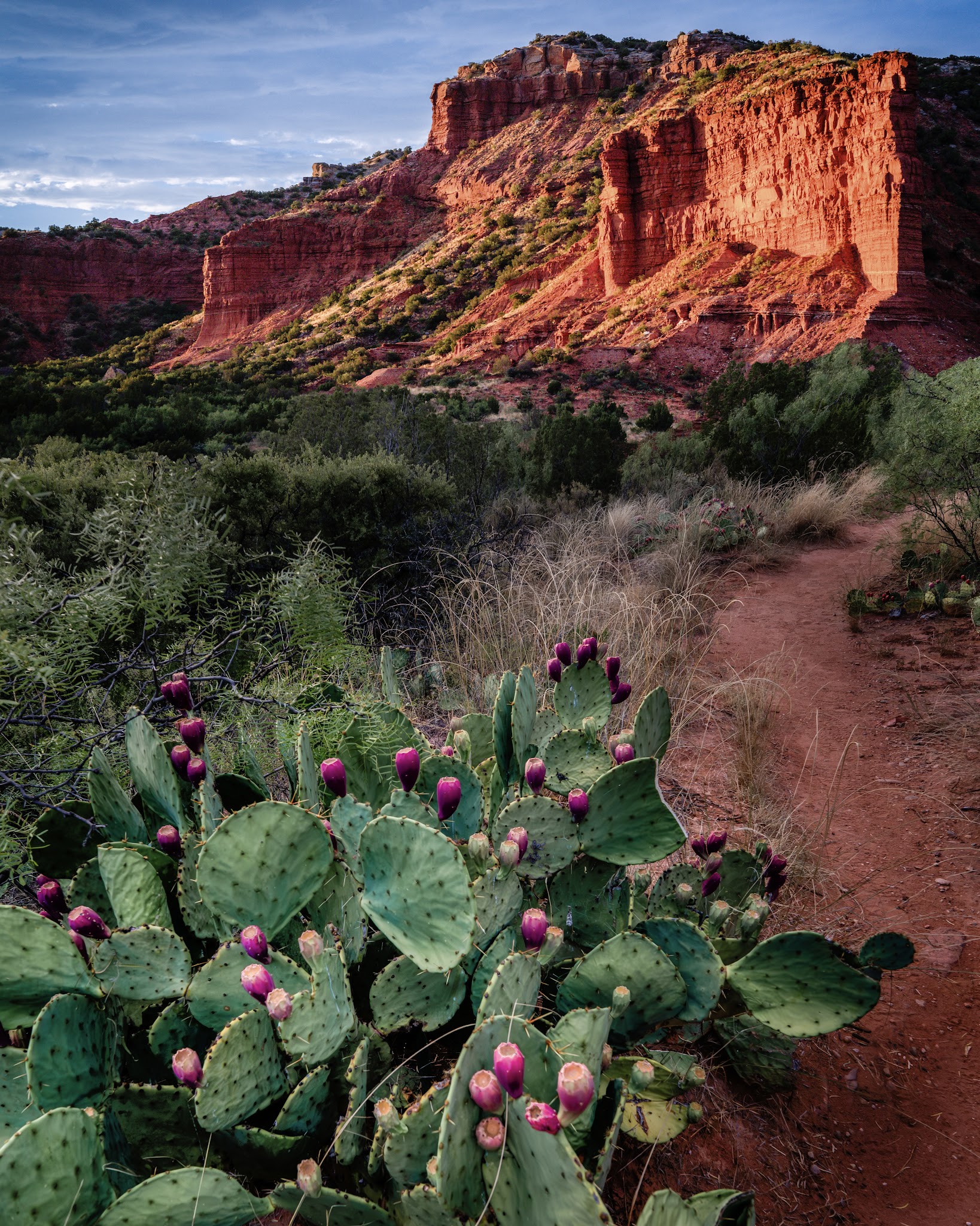 Caprock Canyons State Park And Trailway
