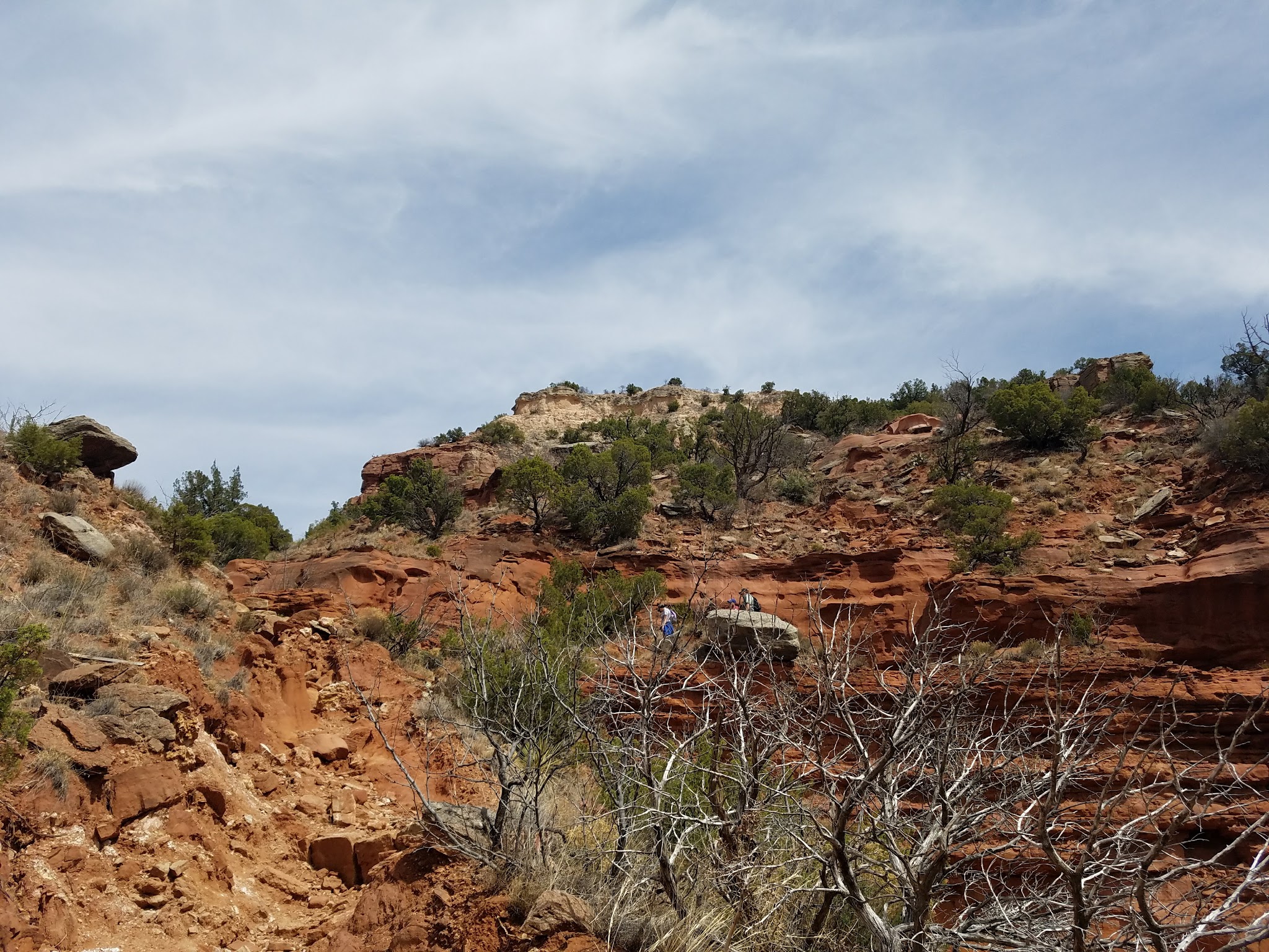 Caprock Canyons State Park And Trailway