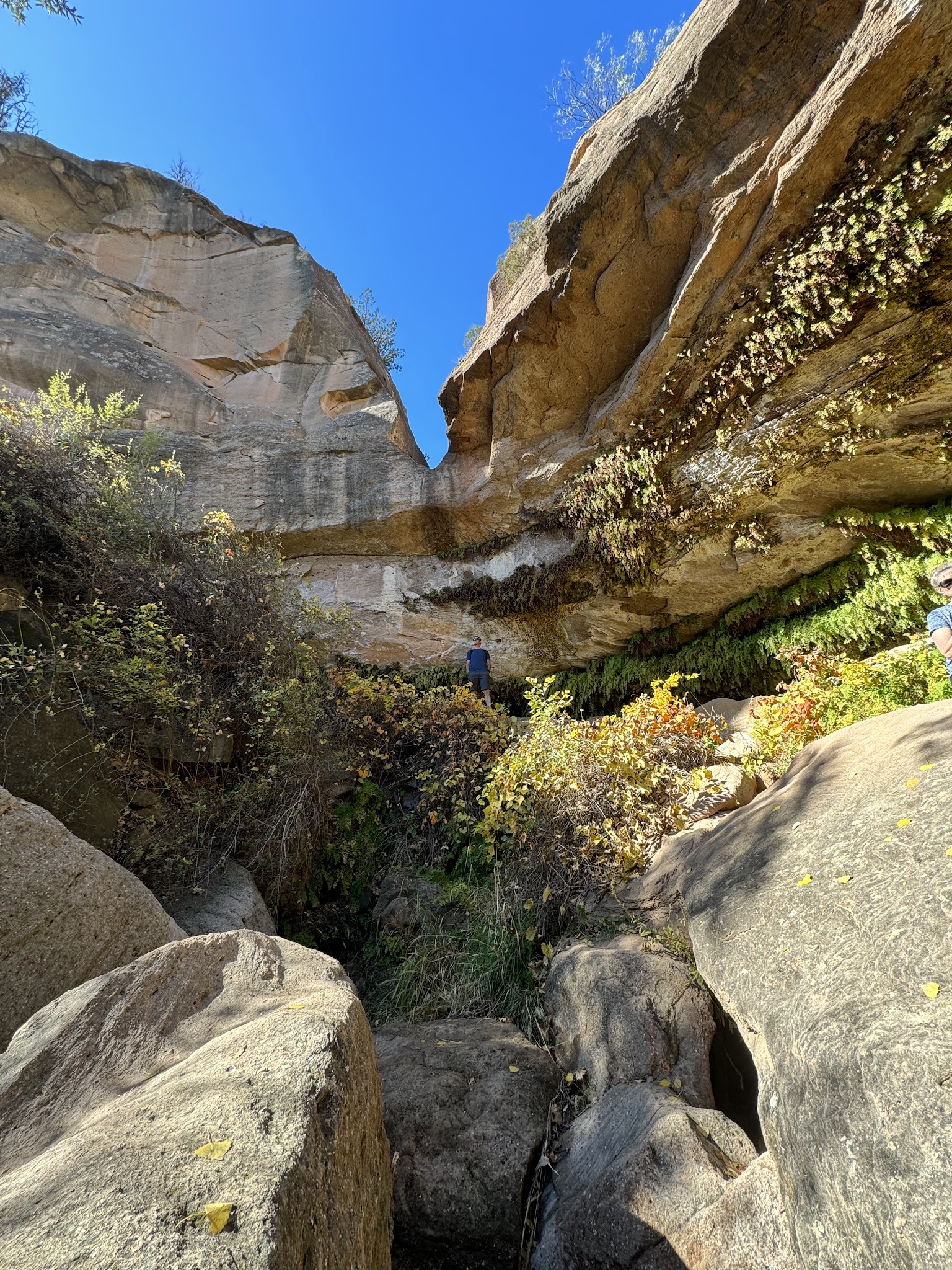 Caprock Canyons State Park And Trailway