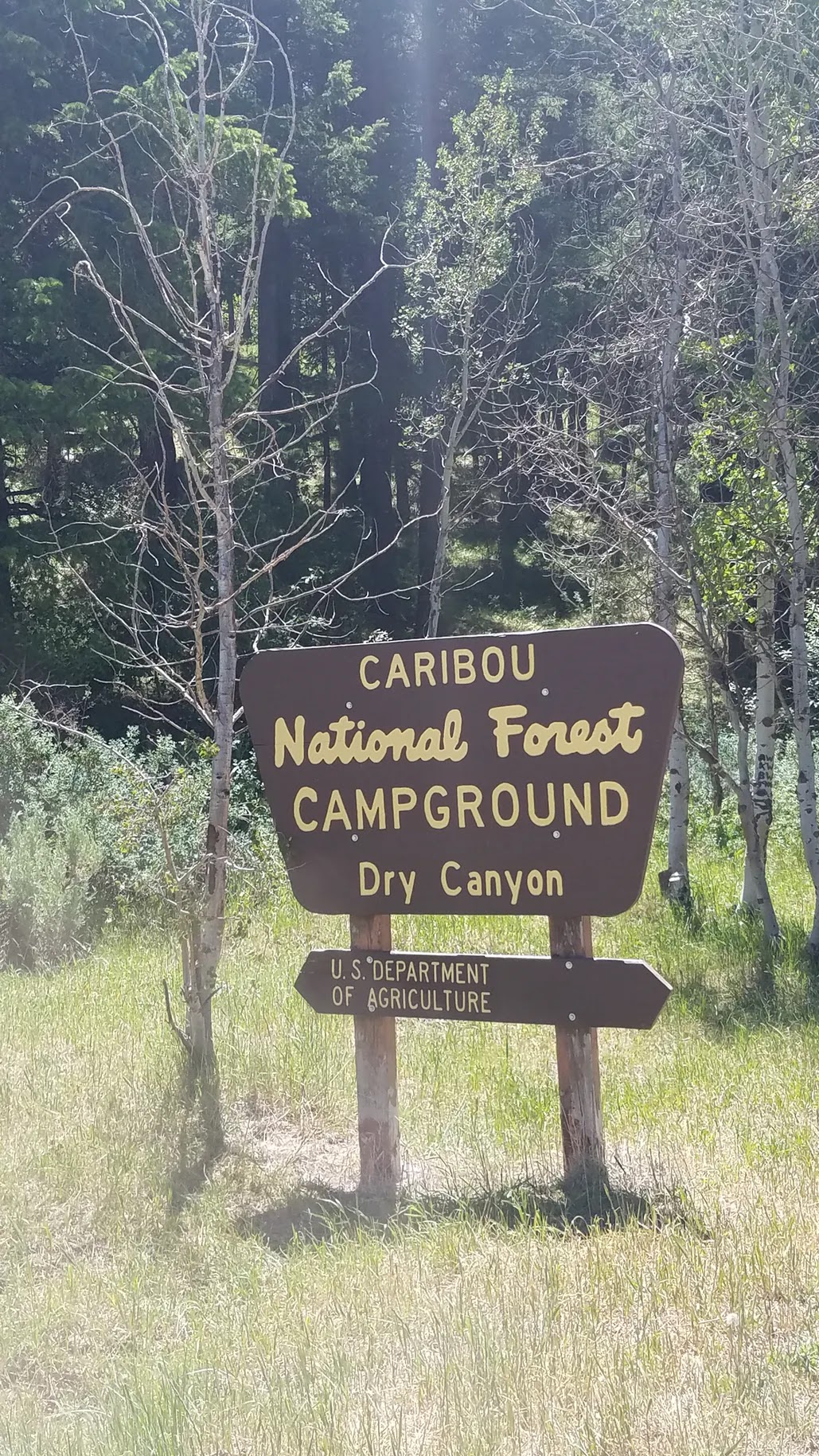 Dry Canyon Campground