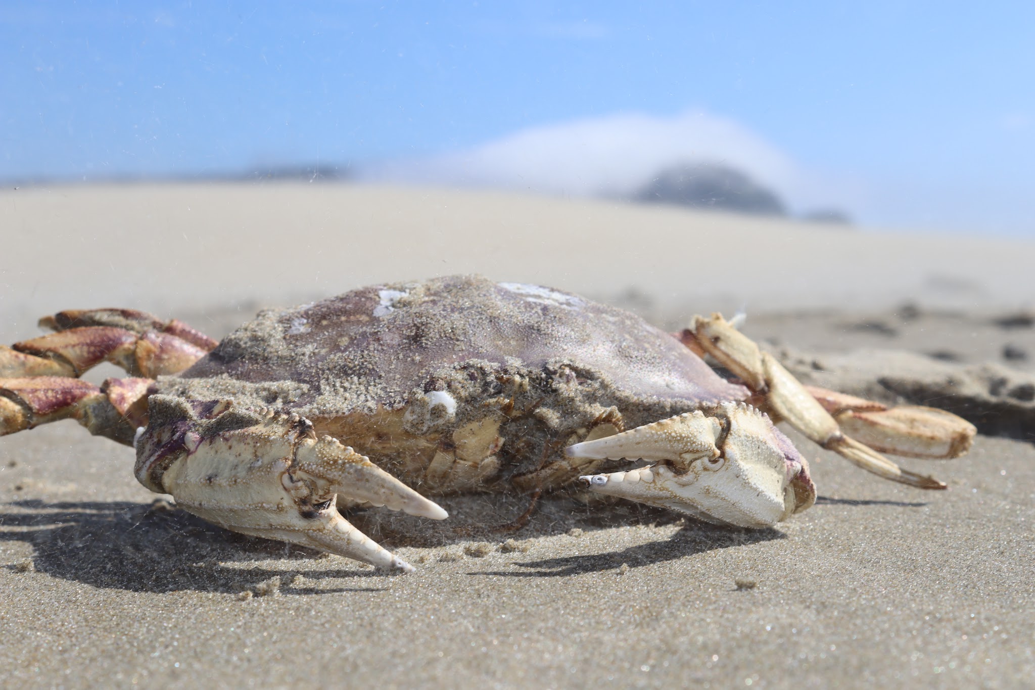 Carl G. Washburne Memorial State Park