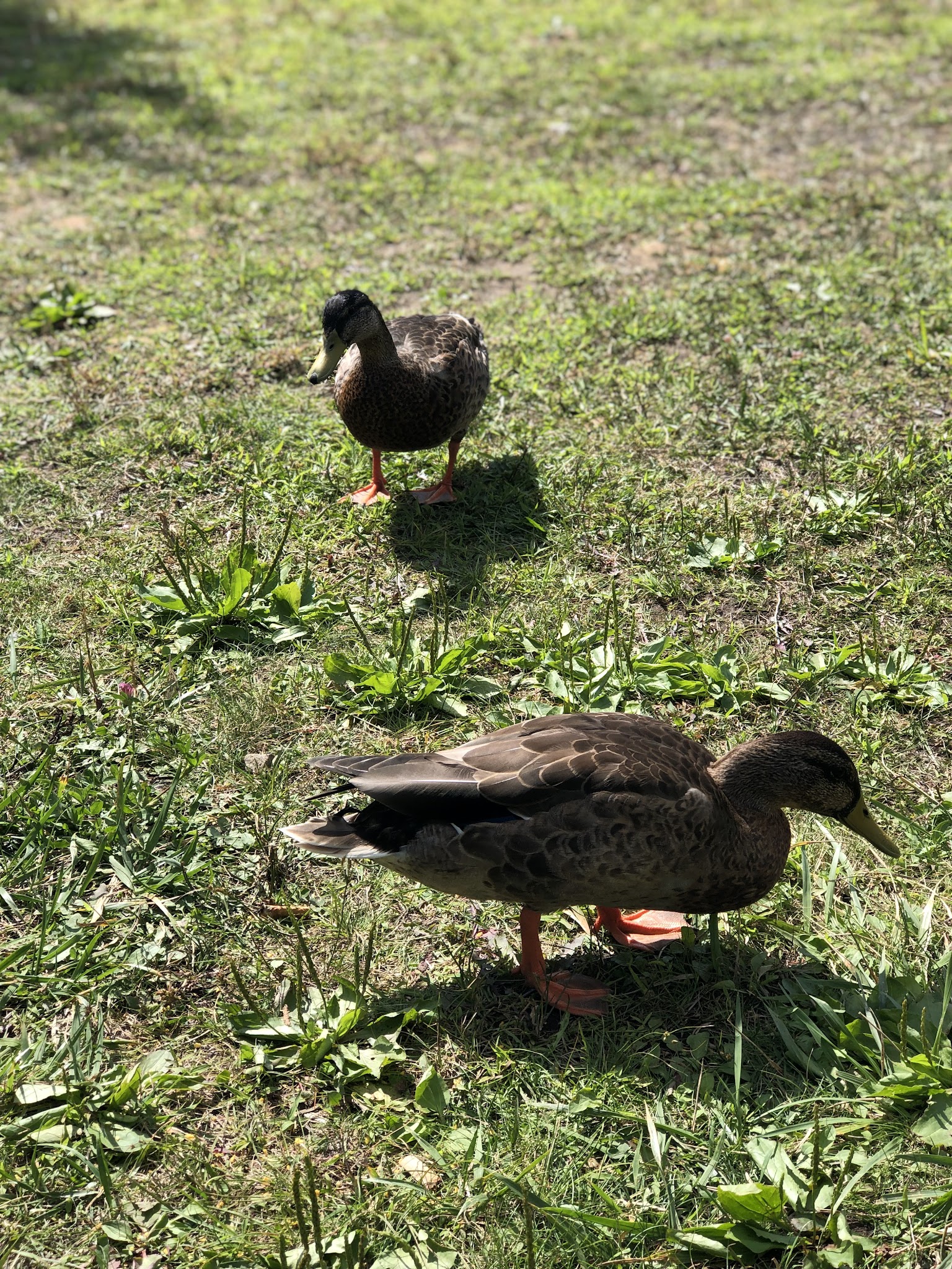 Caroga Lake Campground