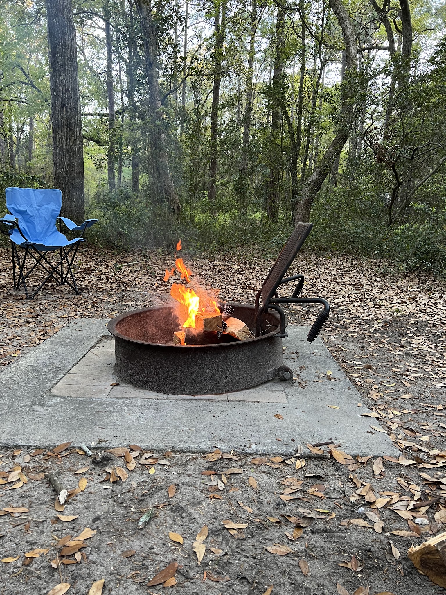Carolina Beach State Park