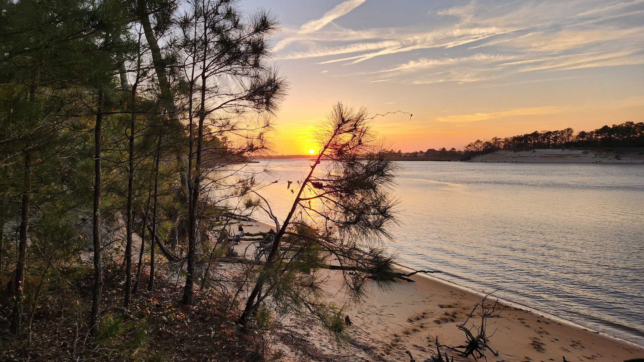 Carolina Beach State Park