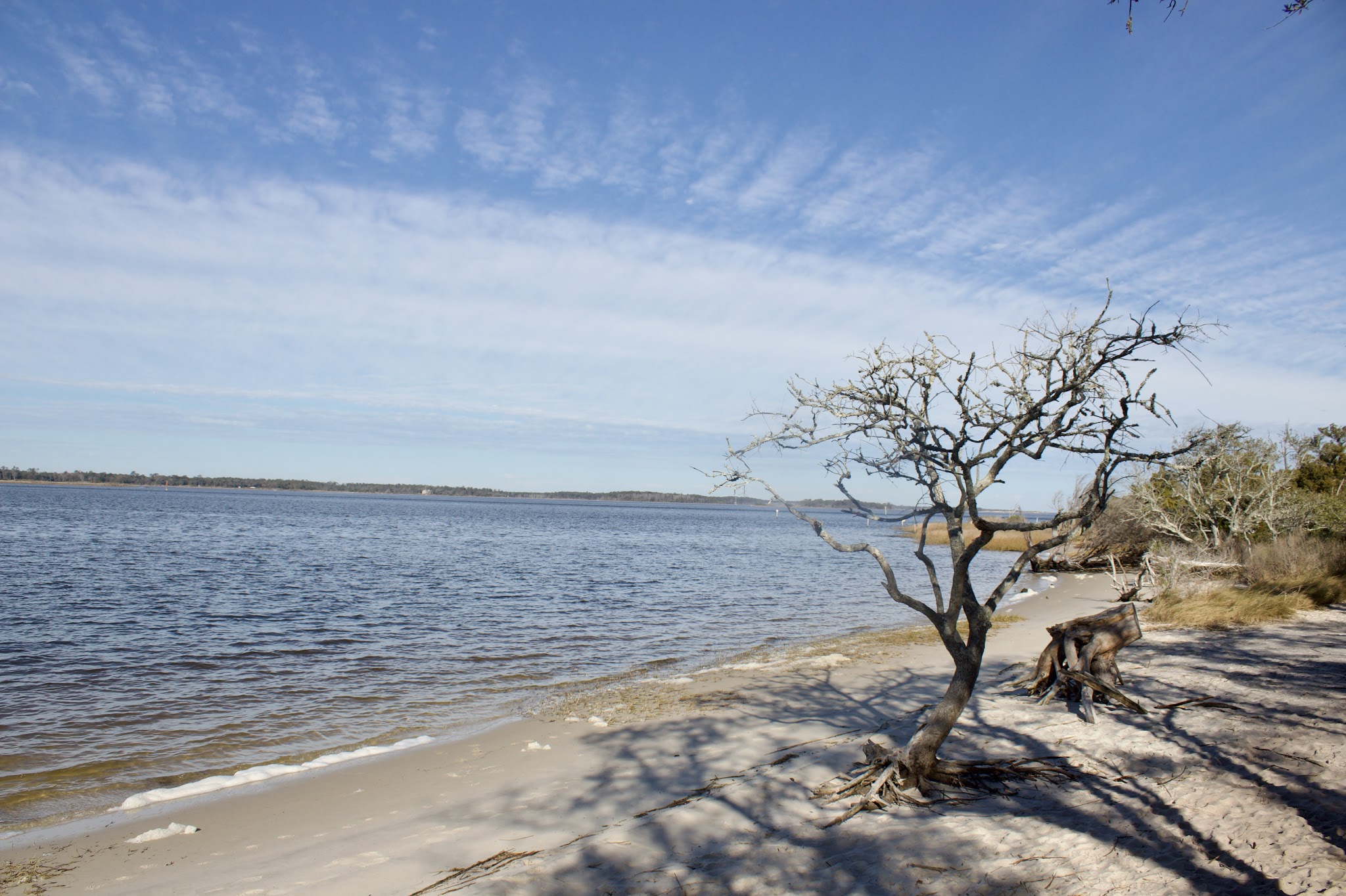 Carolina Beach State Park
