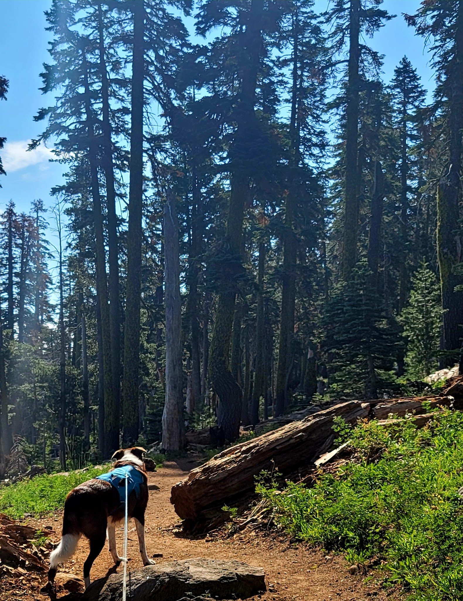 Carr Lake Campground