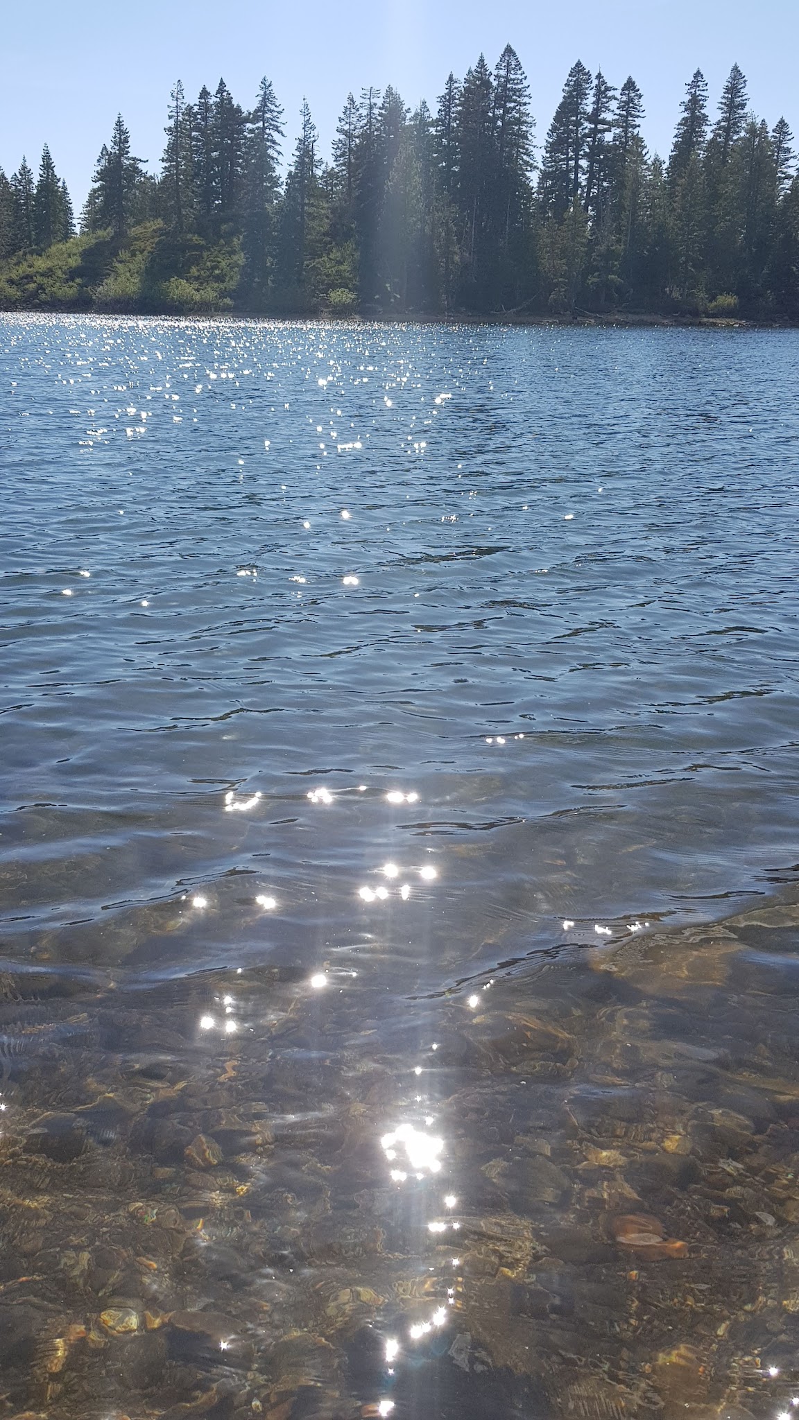 Carr Lake Campground