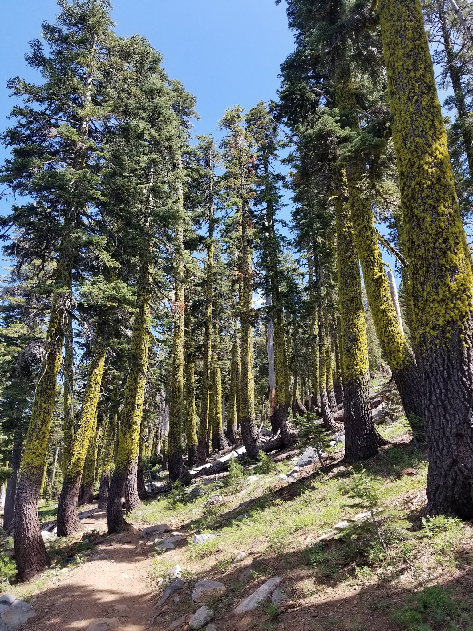Carr Lake Campground