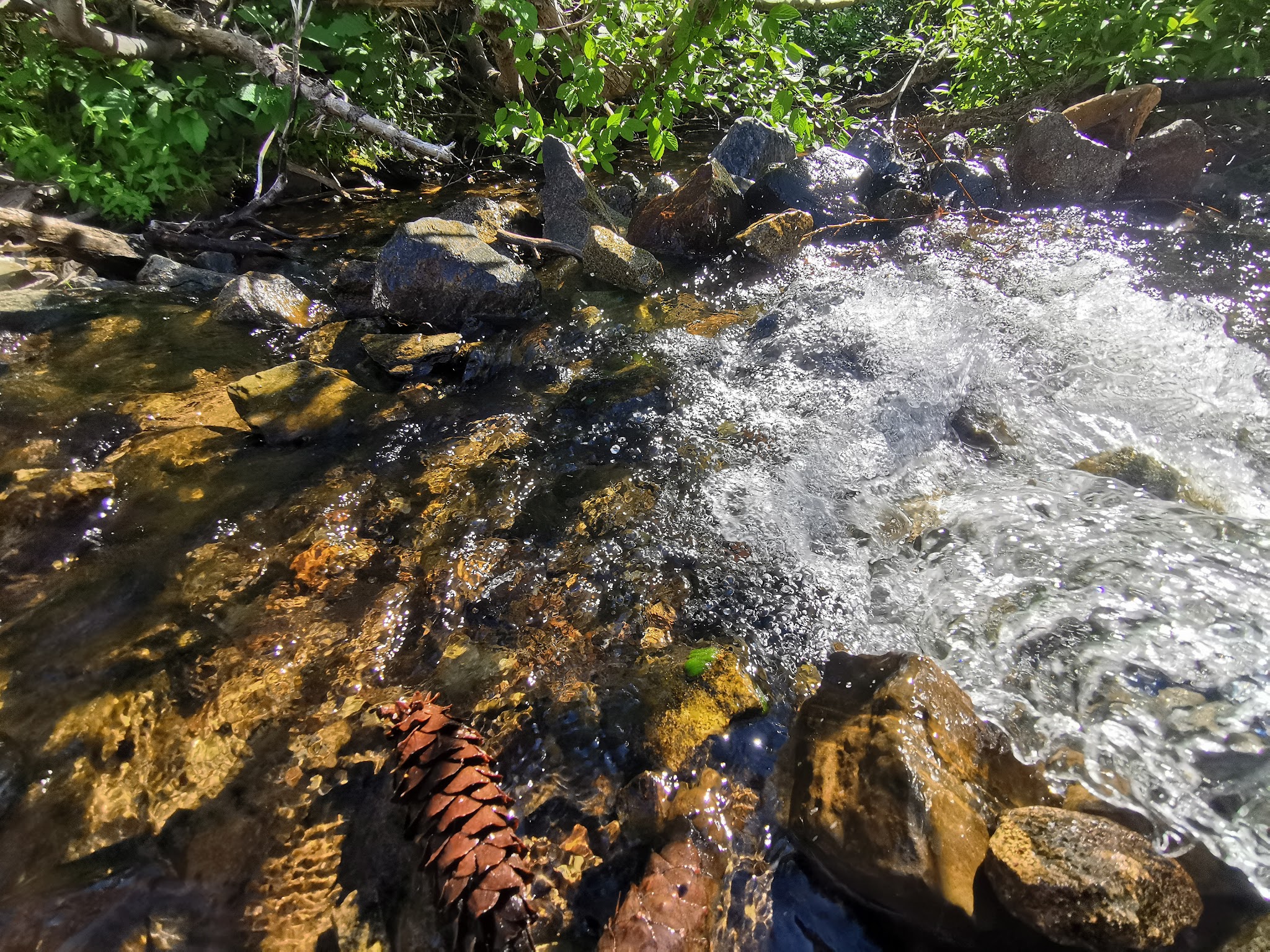 Carr Lake Campground