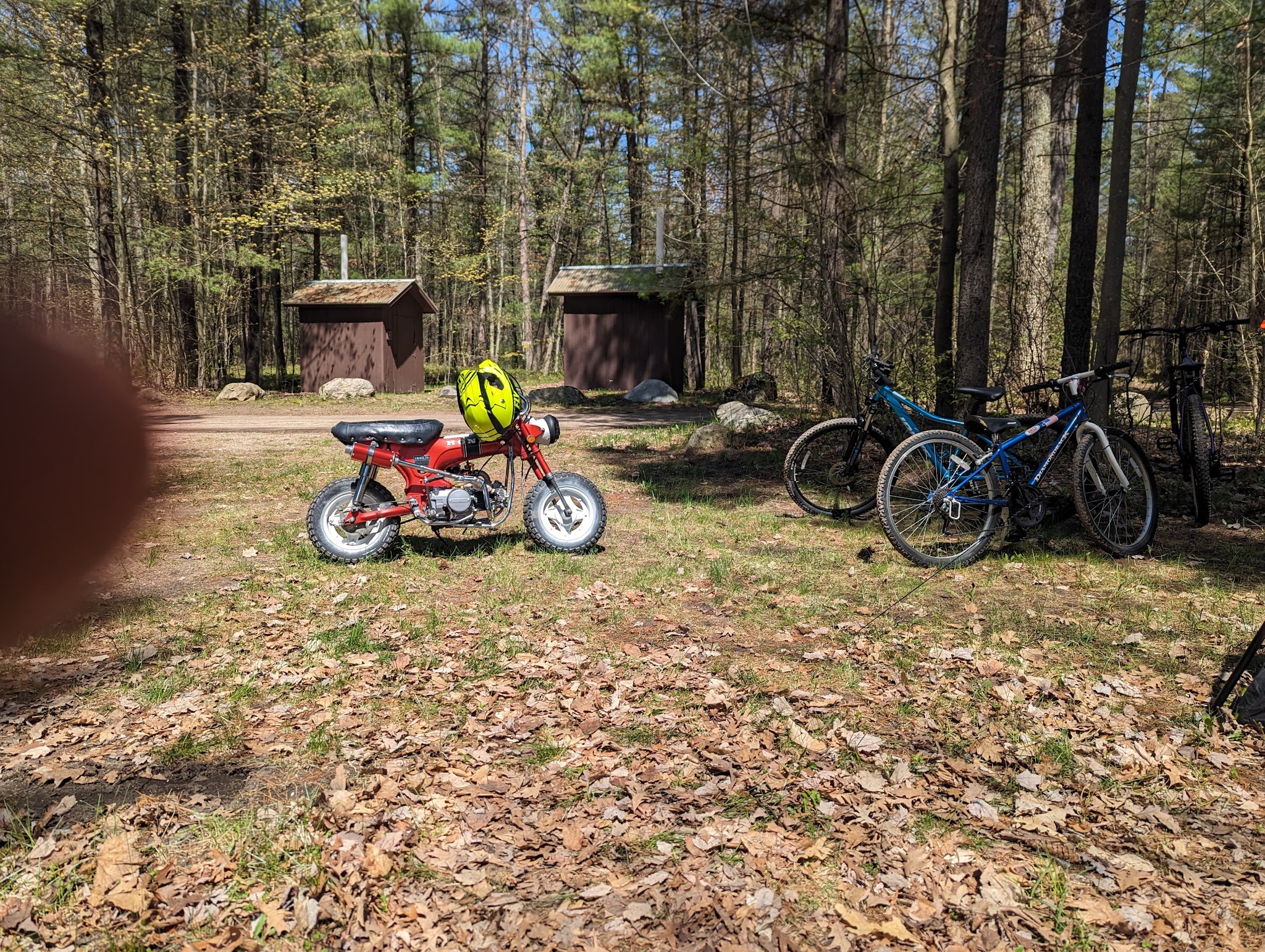 Carrieville State Forest Campground