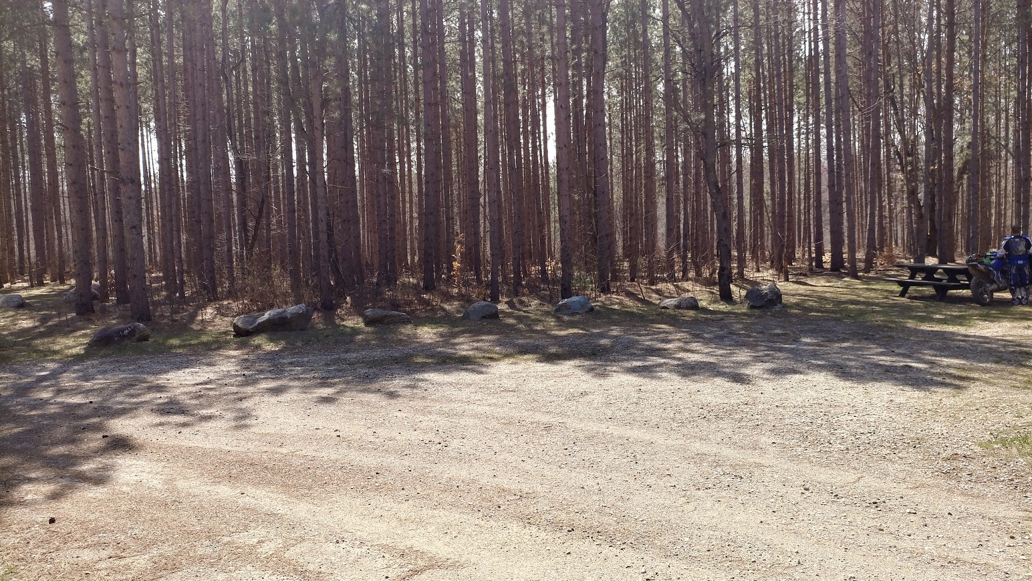 Carrieville State Forest Campground