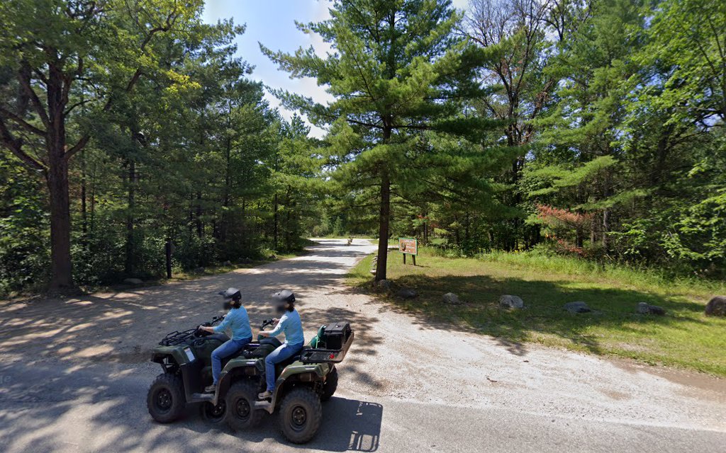 Carrieville State Forest Campground