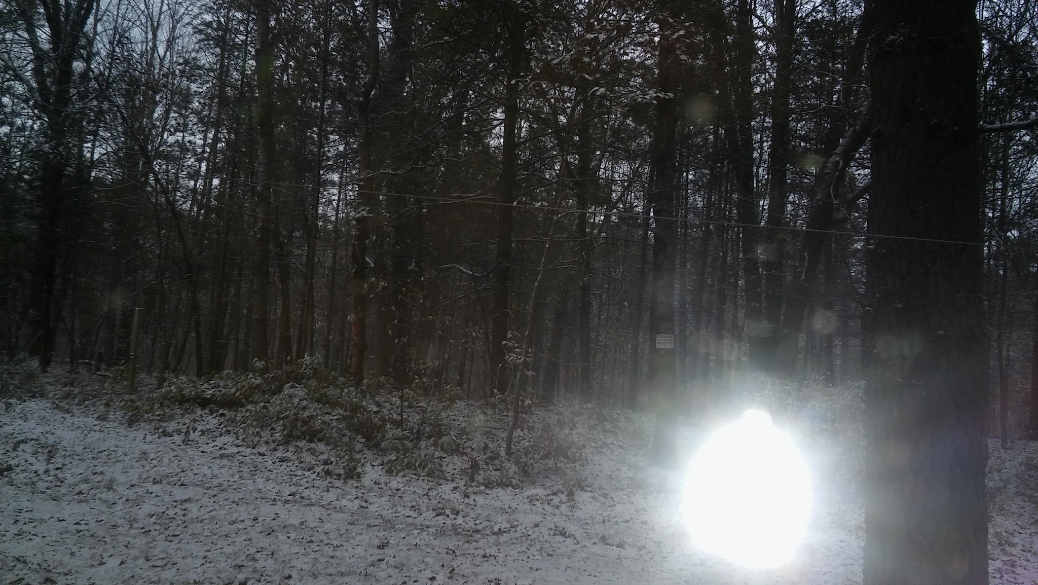 Carrieville State Forest Campground
