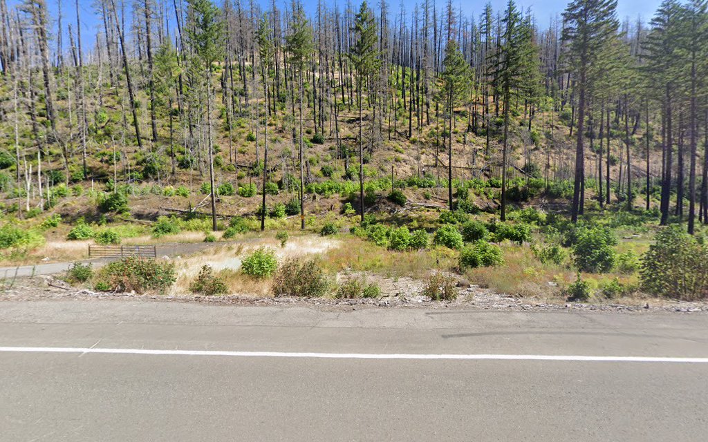 Carter Bridge Campground