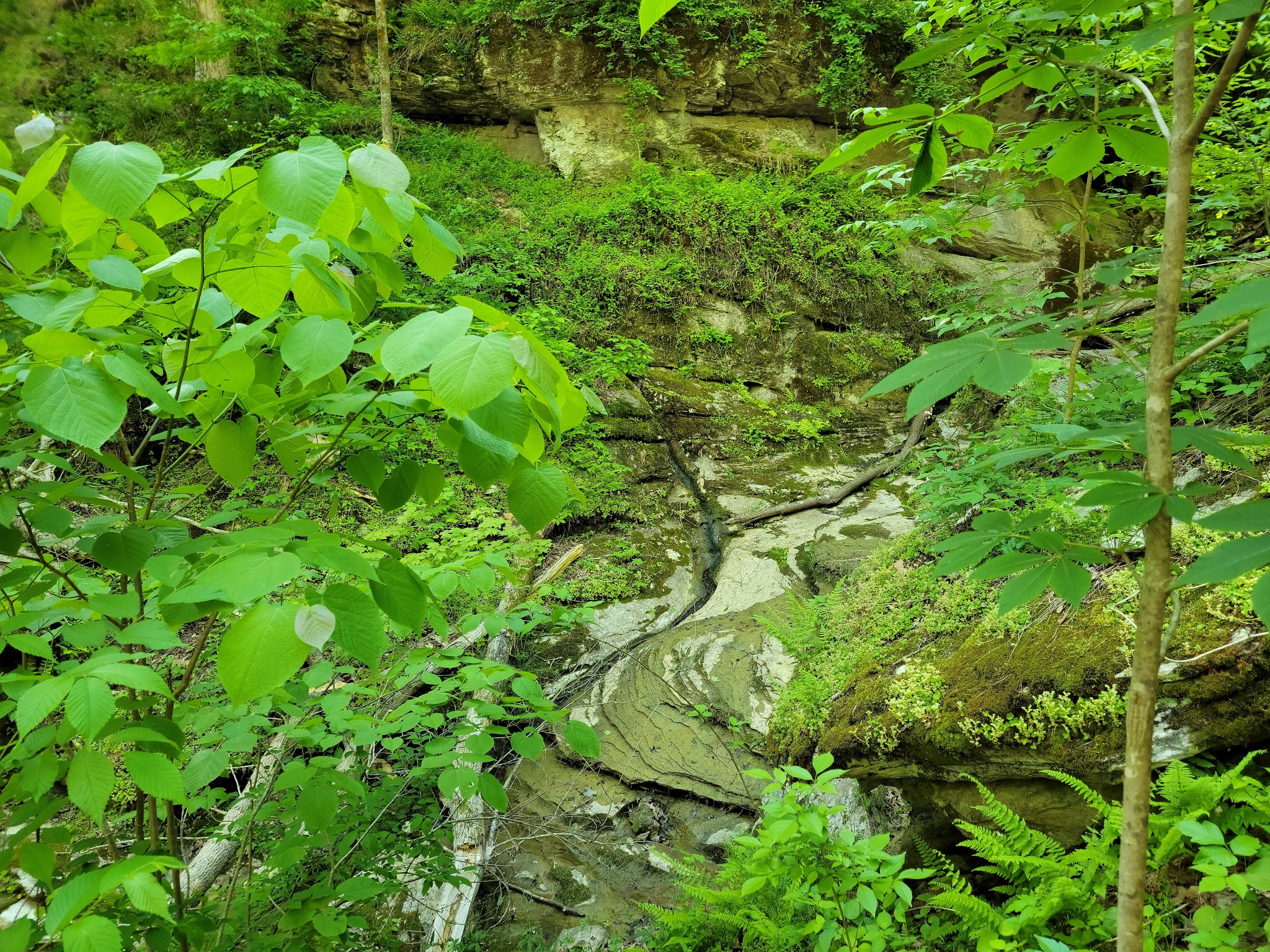 Carter Caves State Resort Park