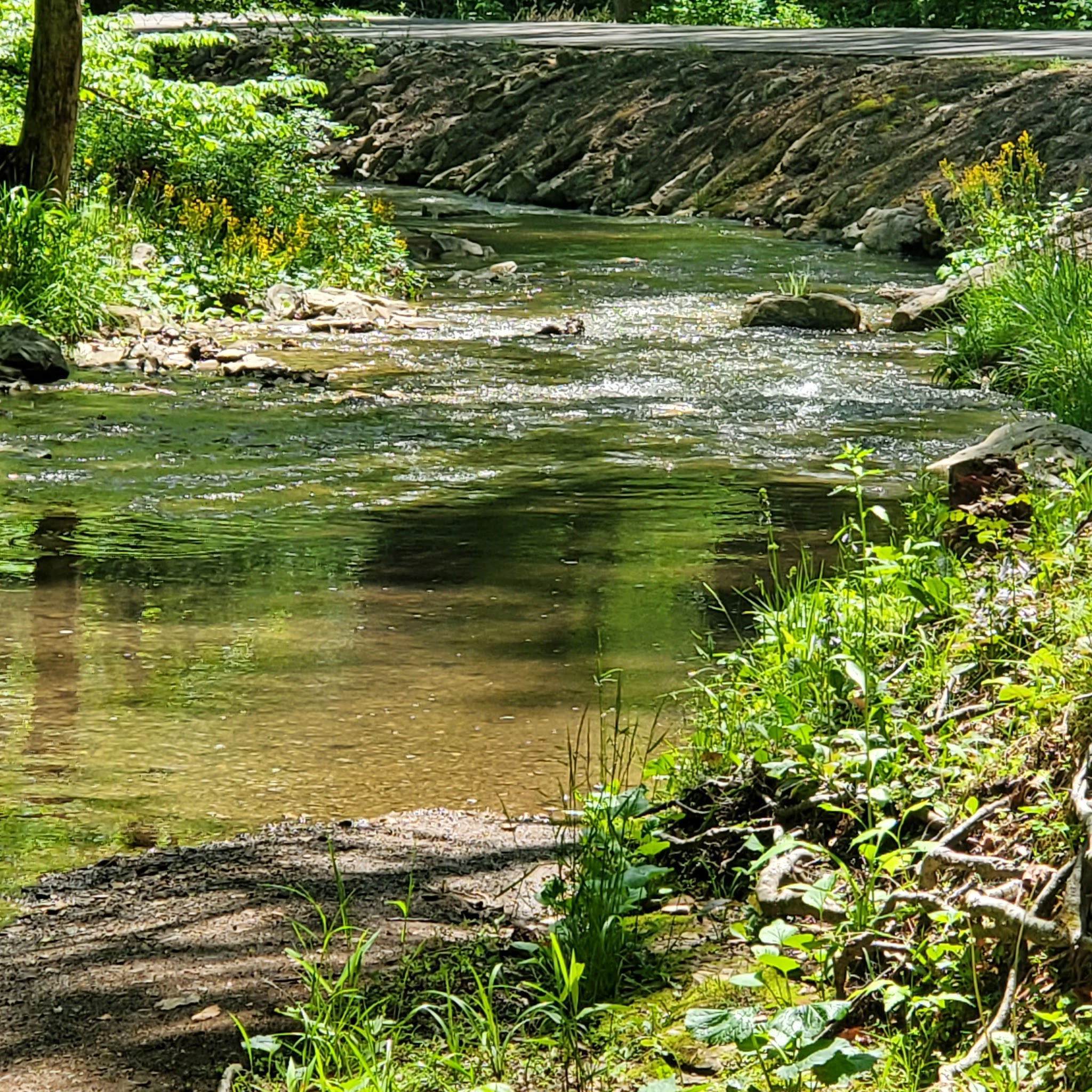 Carter Caves State Resort Park