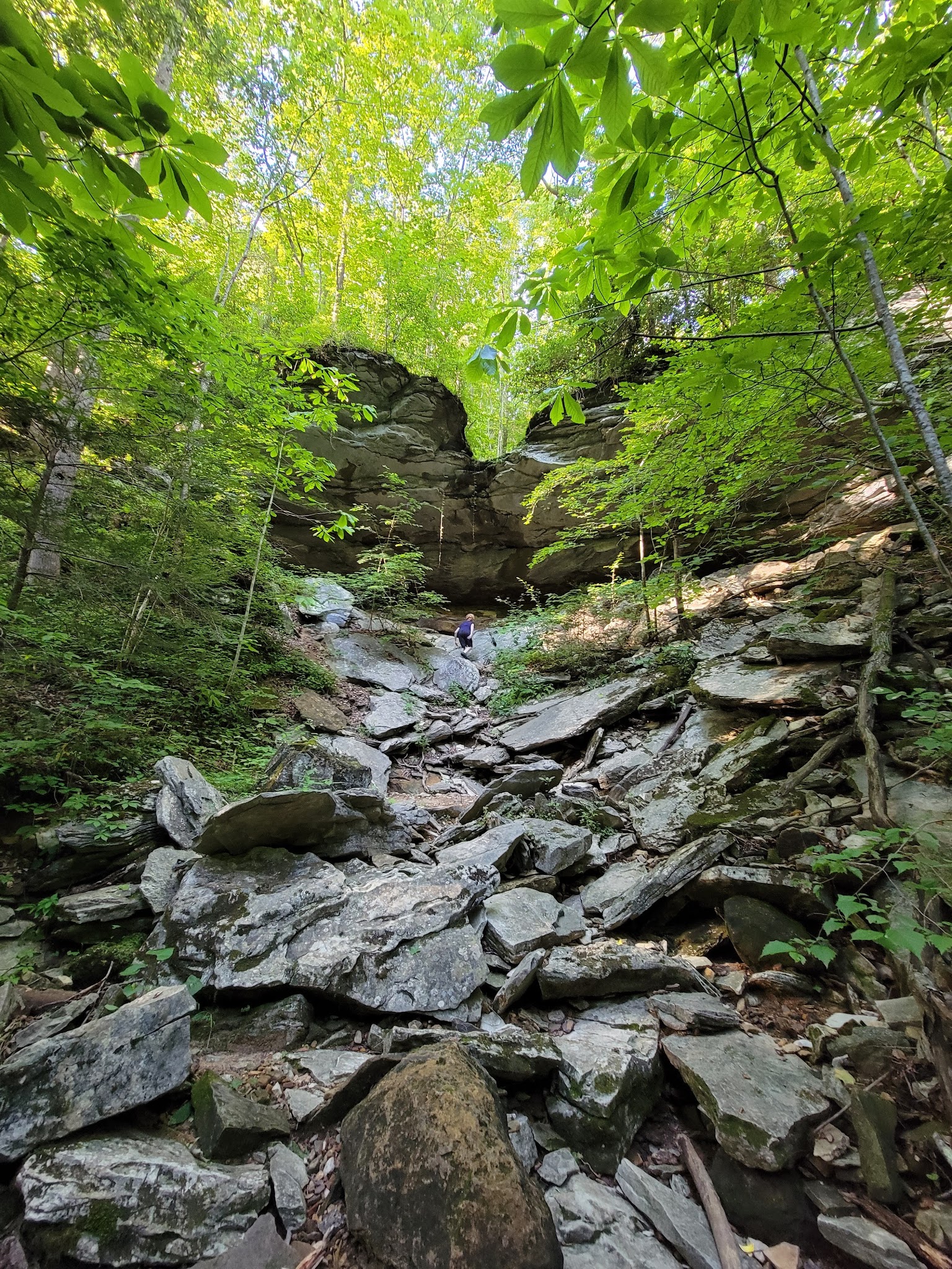 Carter Caves State Resort Park