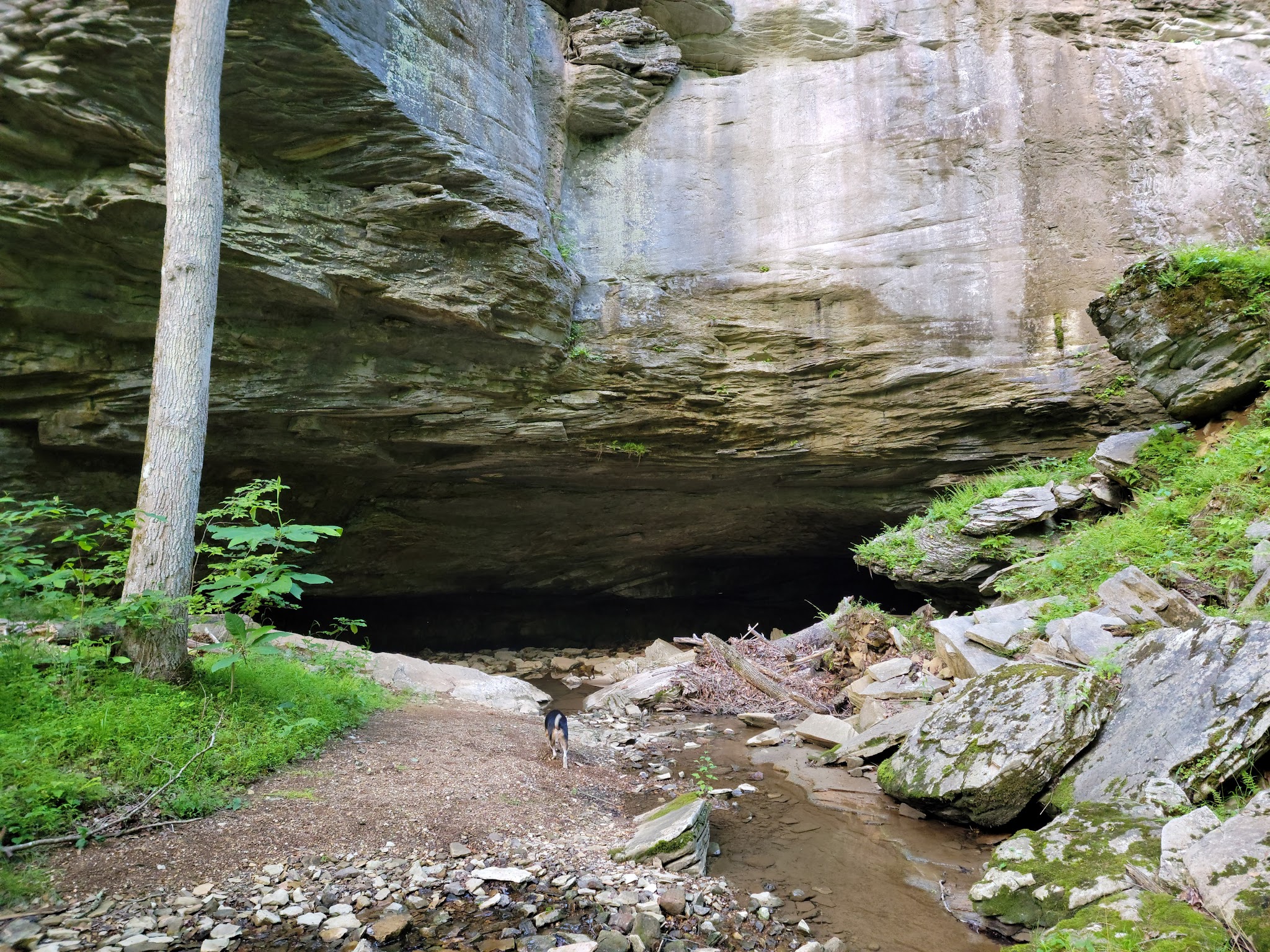 Carter Caves State Resort Park