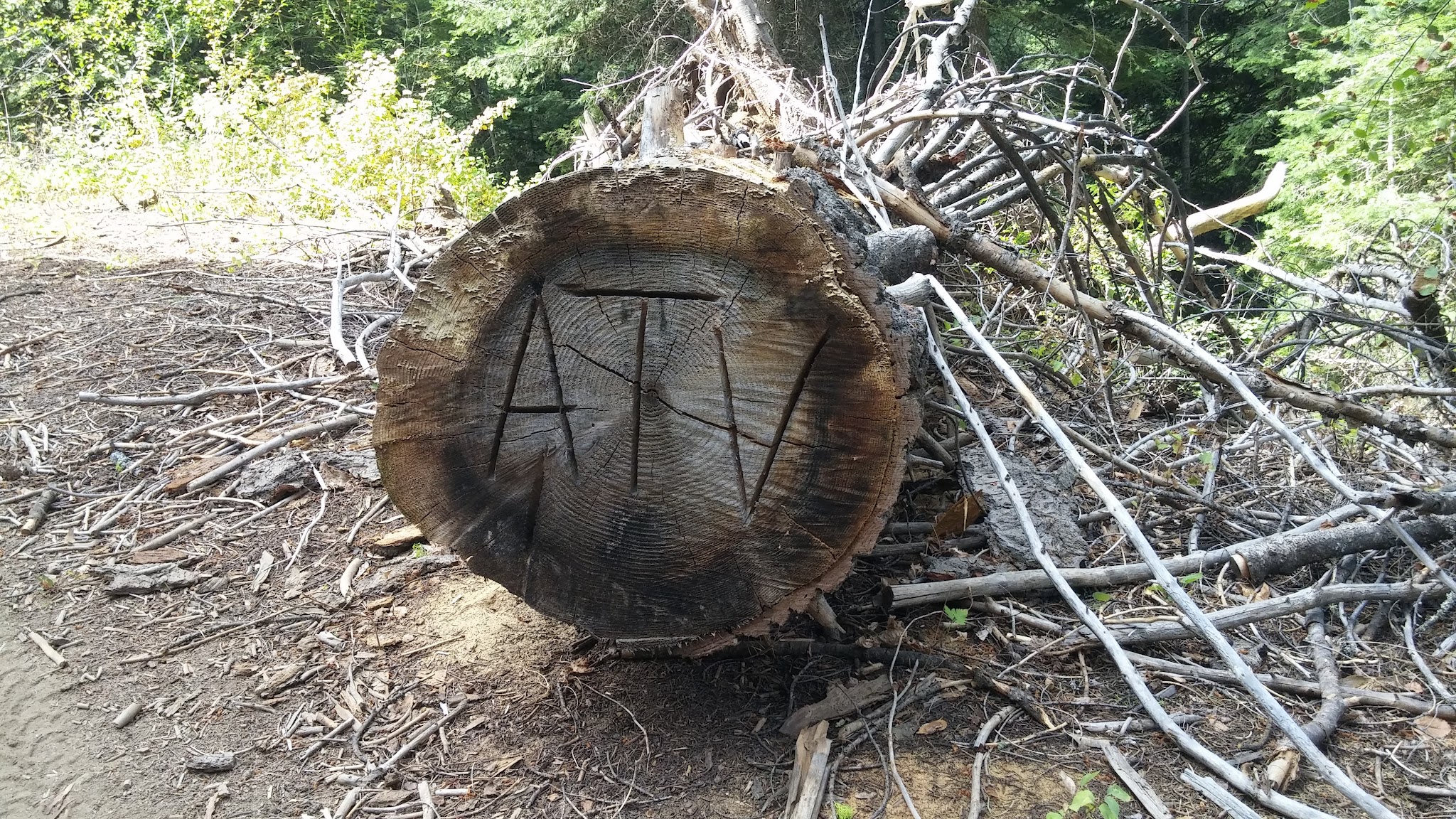 Cartwright Ridge Campground