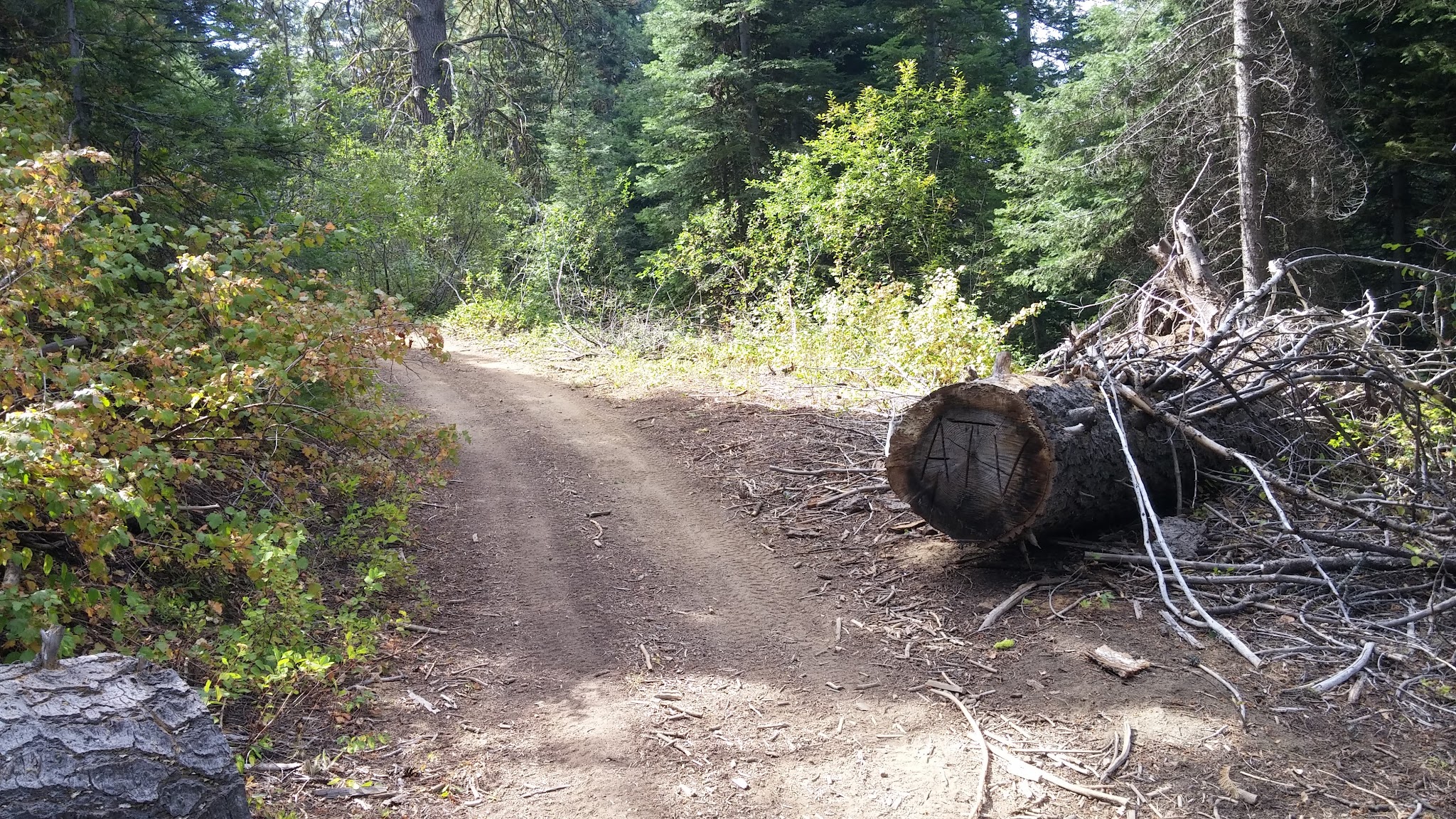 Cartwright Ridge Campground